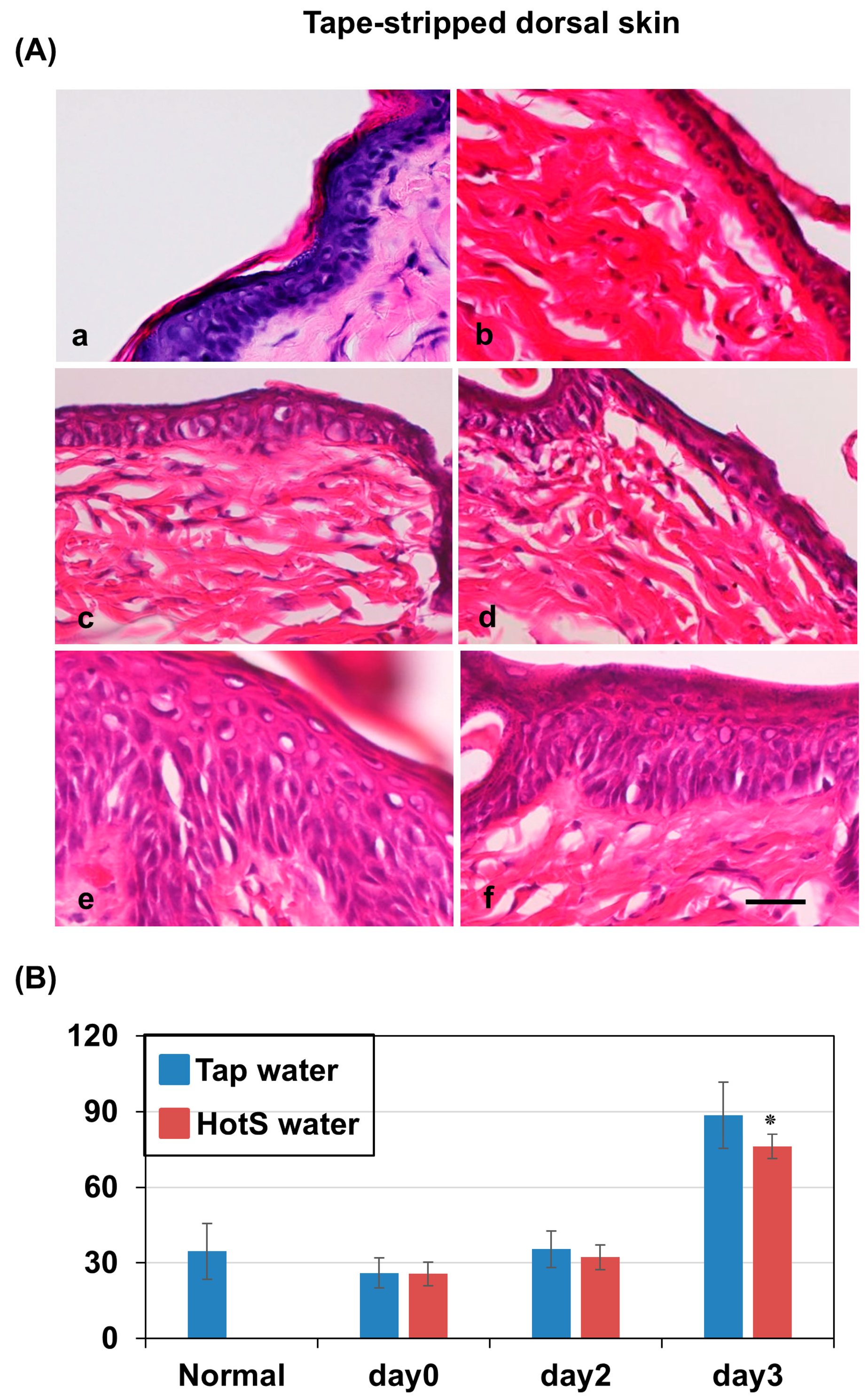 Biomedicines 13 02707 g002