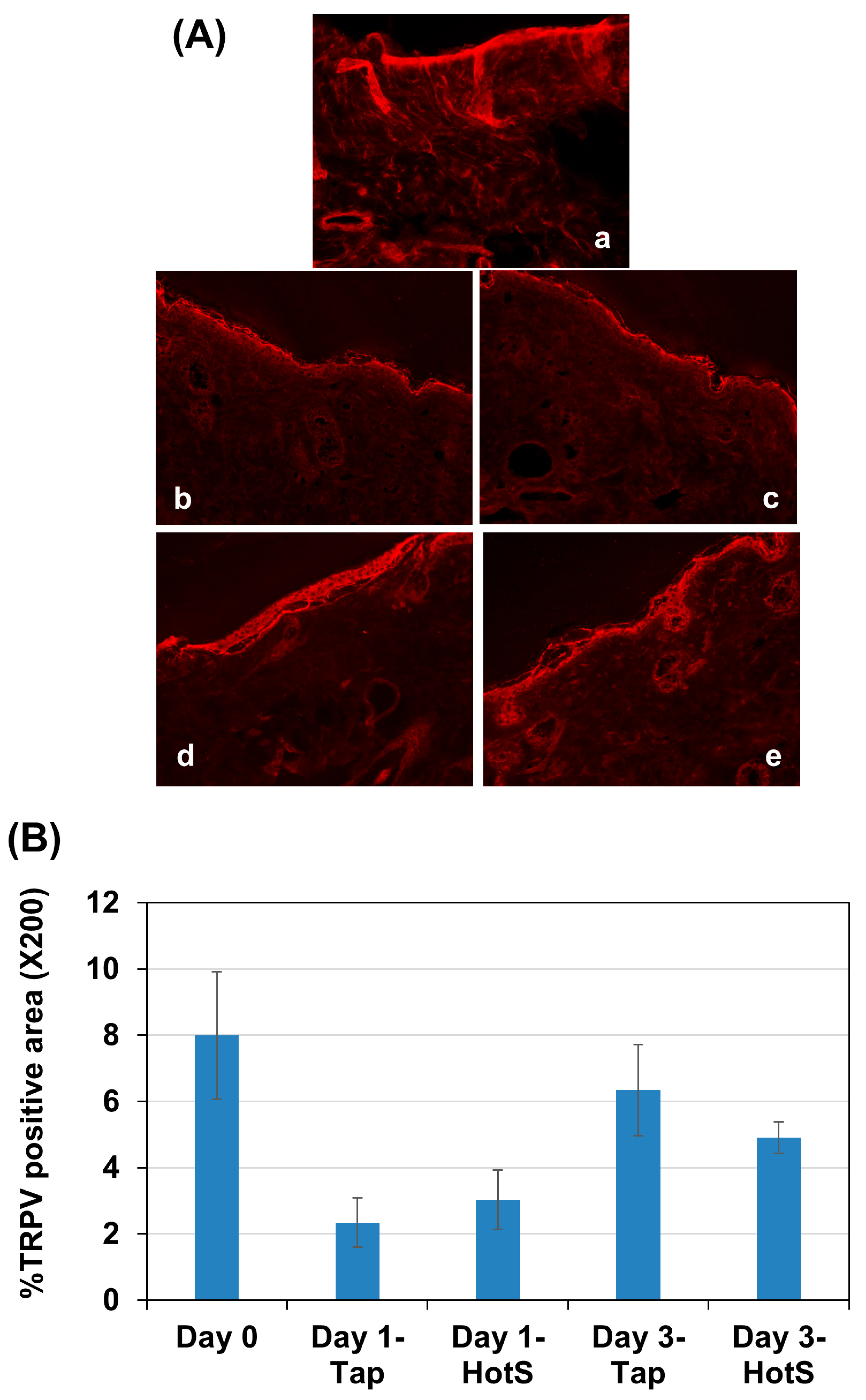 Biomedicines 13 02707 g004