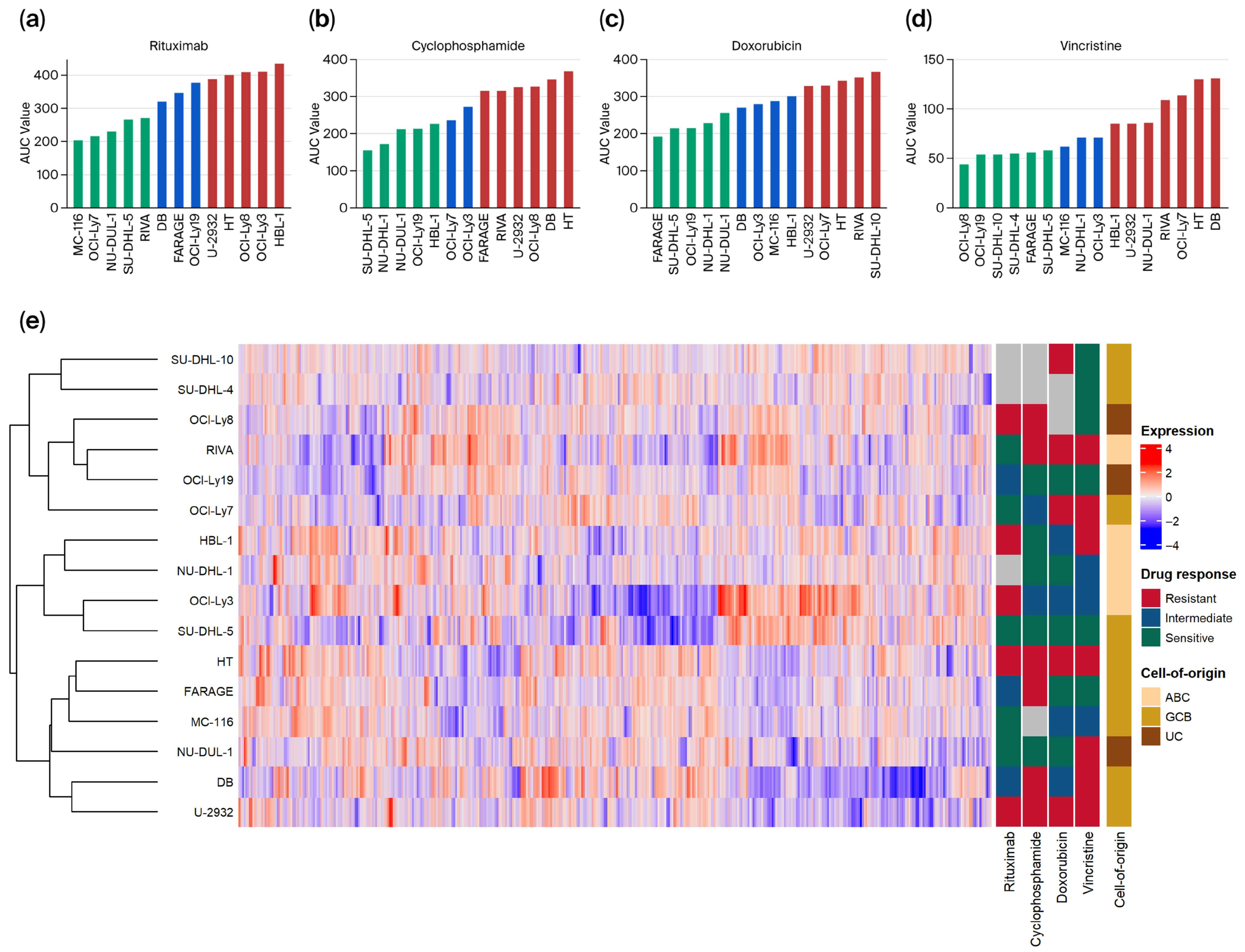 Biomedicines 13 02709 g001
