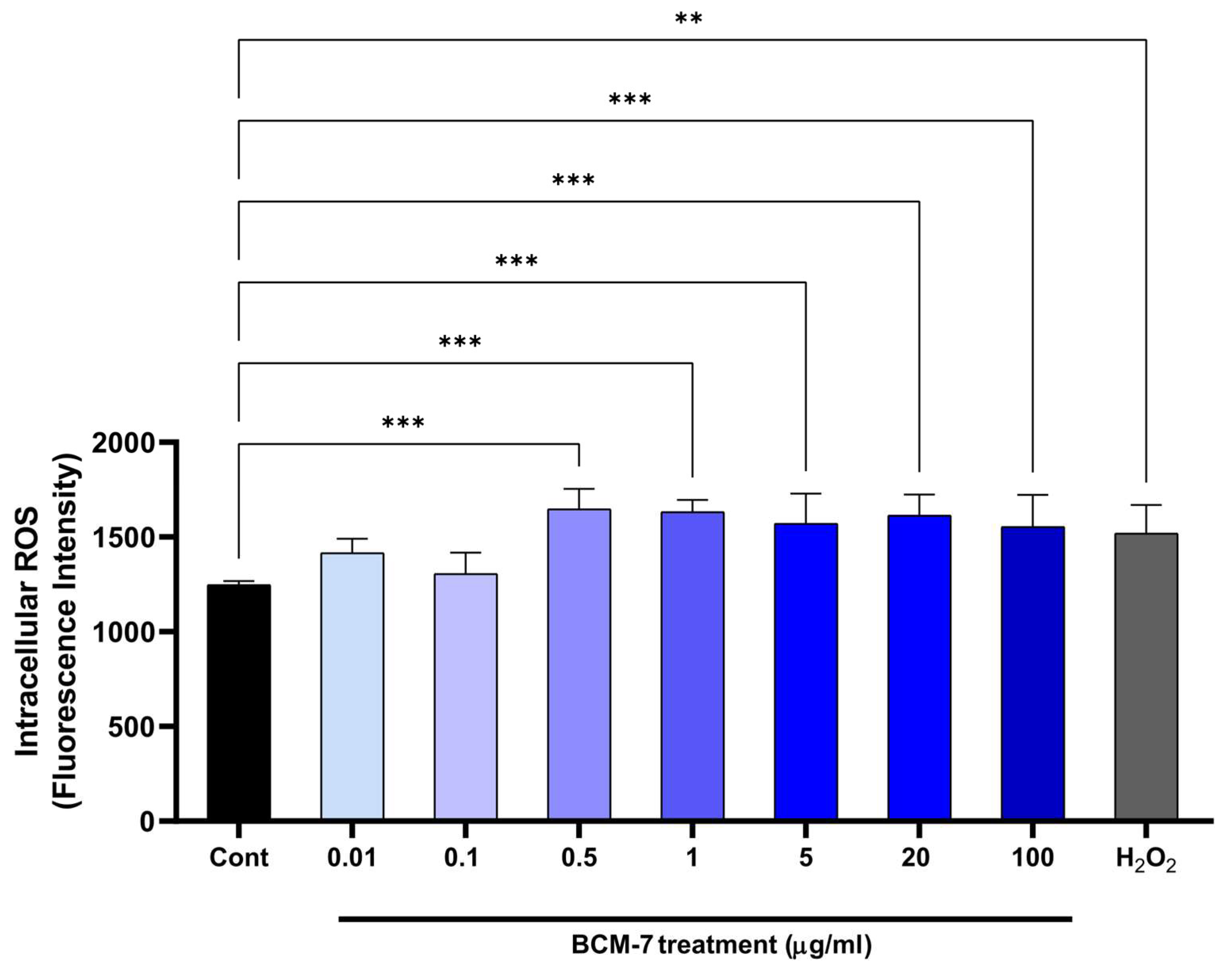 Biomedicines 13 02712 g002
