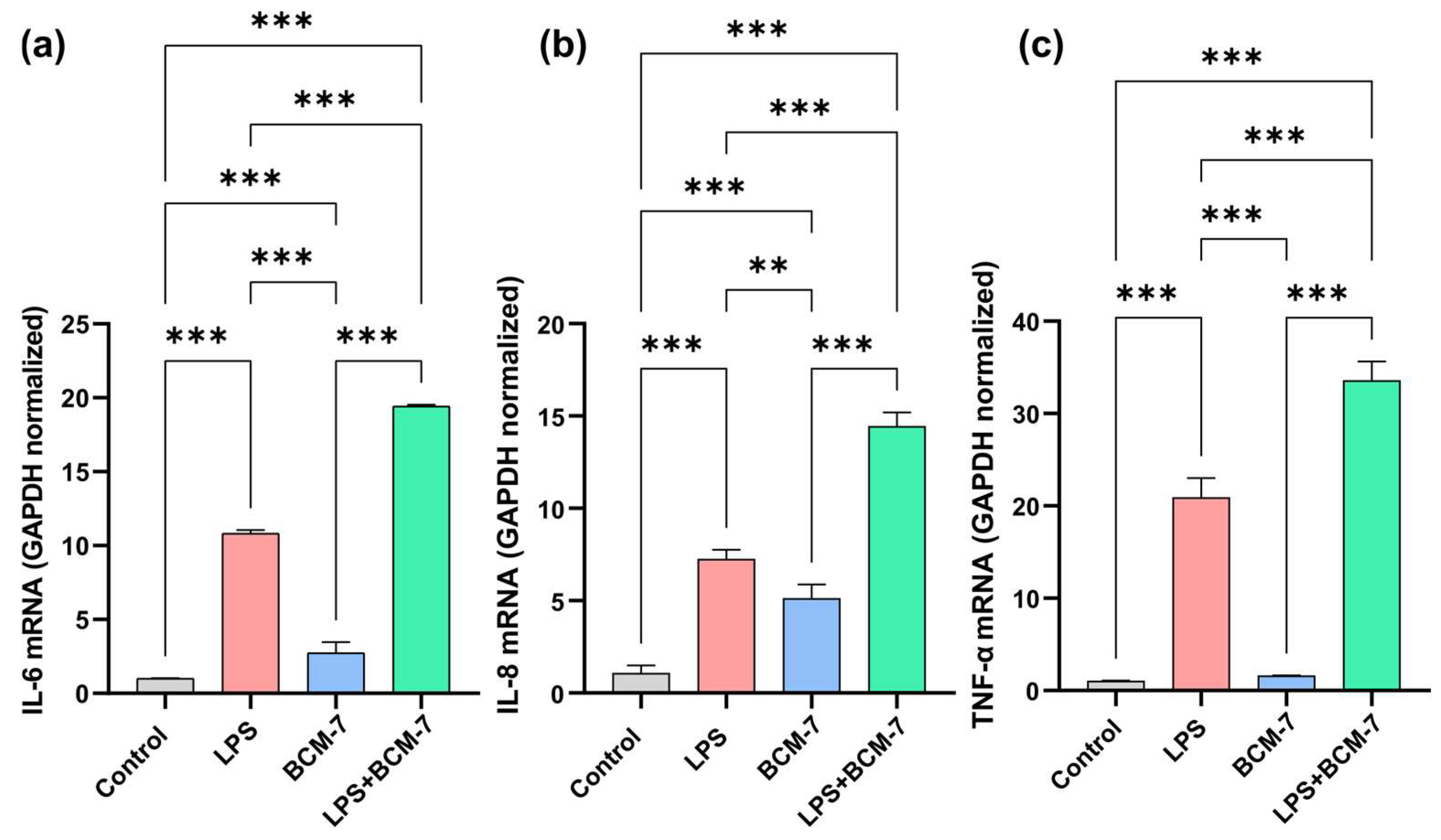 Biomedicines 13 02712 g003