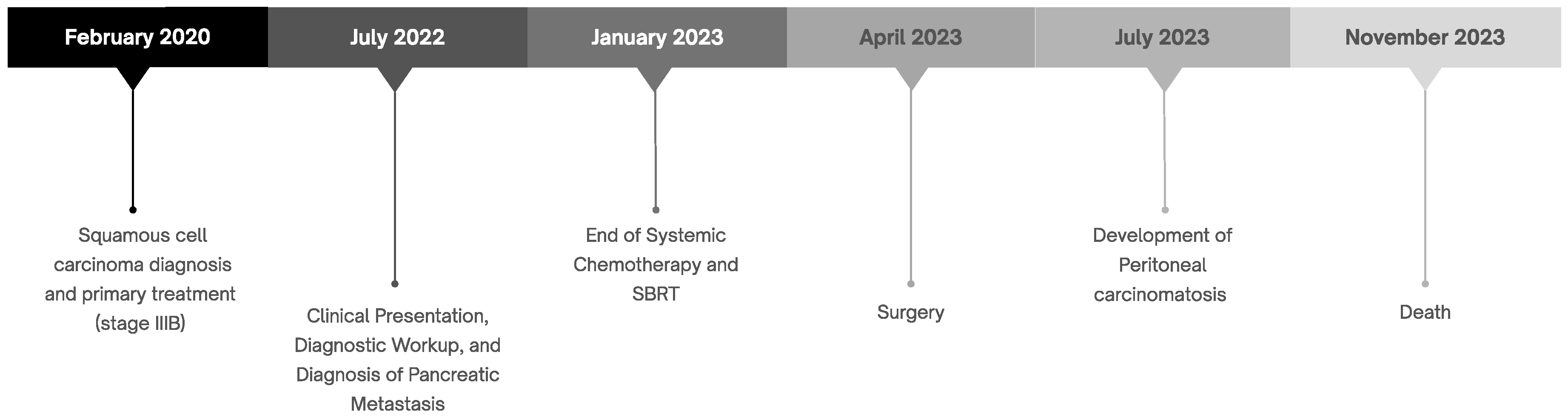 Biomedicines 13 02713 g002 Biomedicines 13 02713 g002