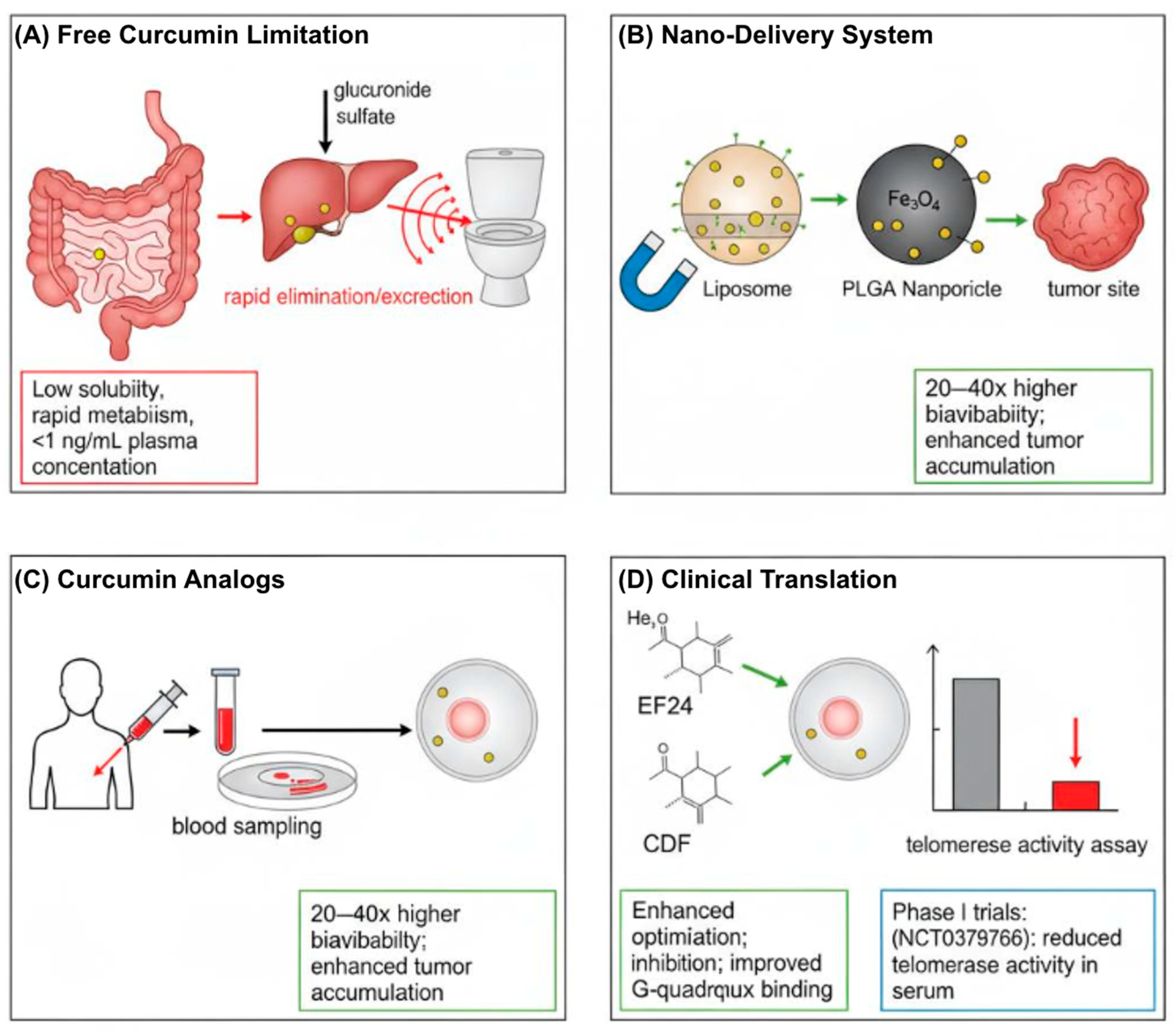 Biomedicines 13 02721 g003