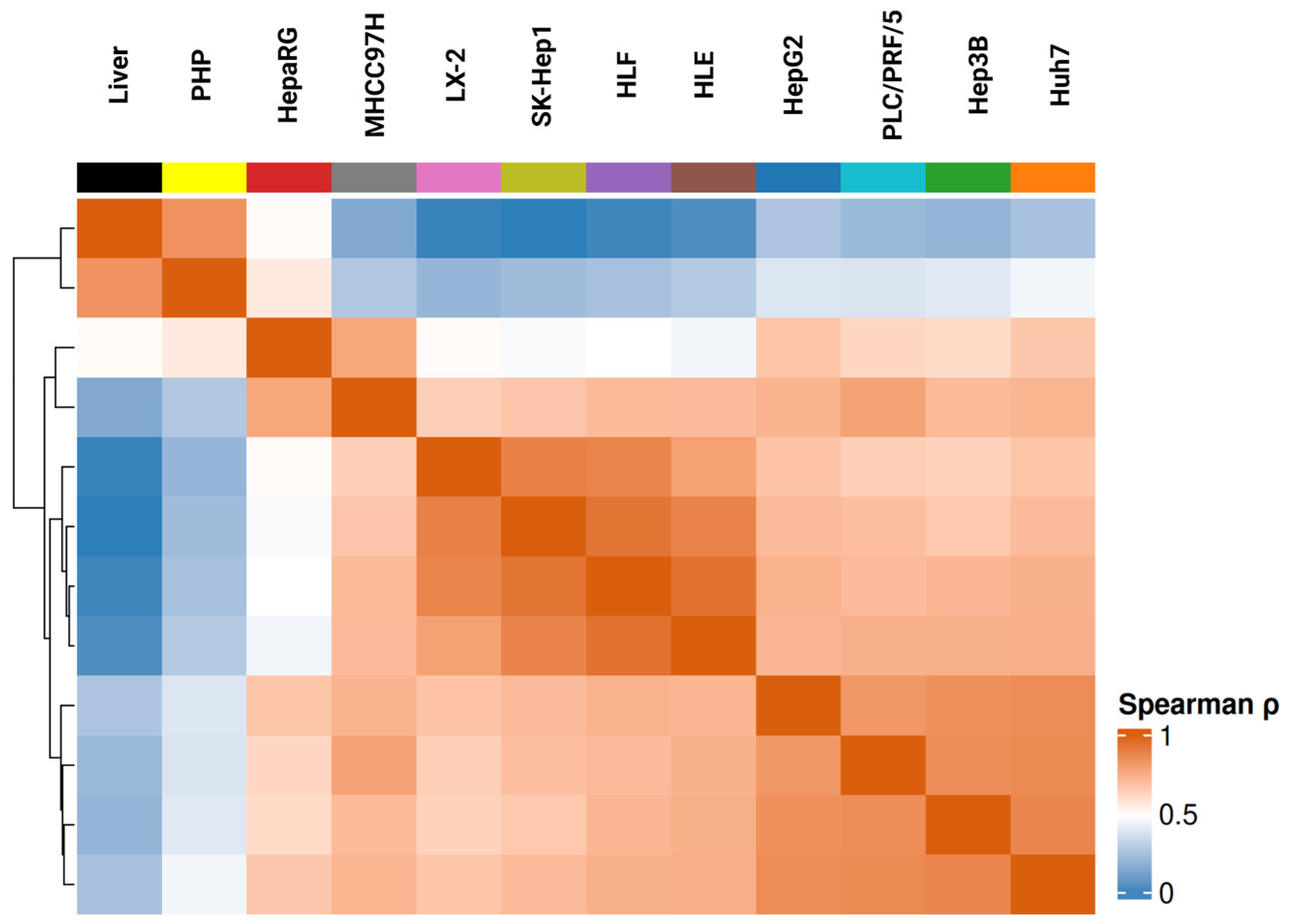 Biomedicines 13 02722 g002