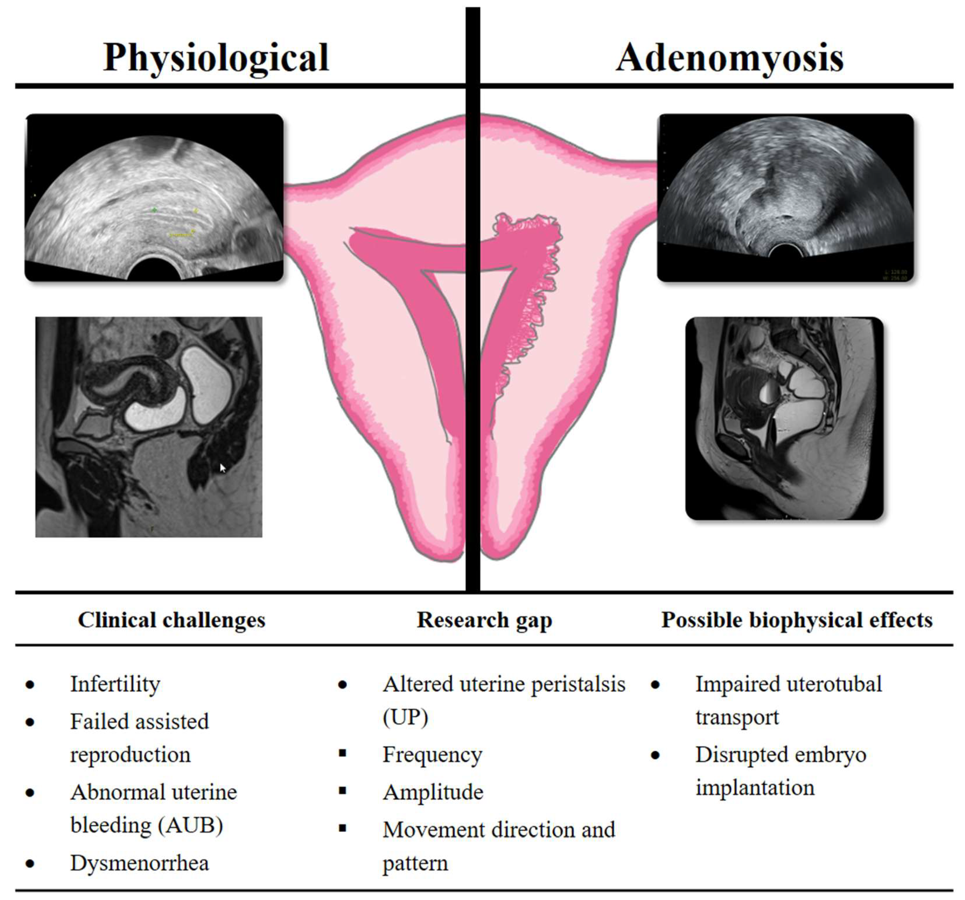 Biomedicines 13 02728 g007 Biomedicines 13 02728 g007