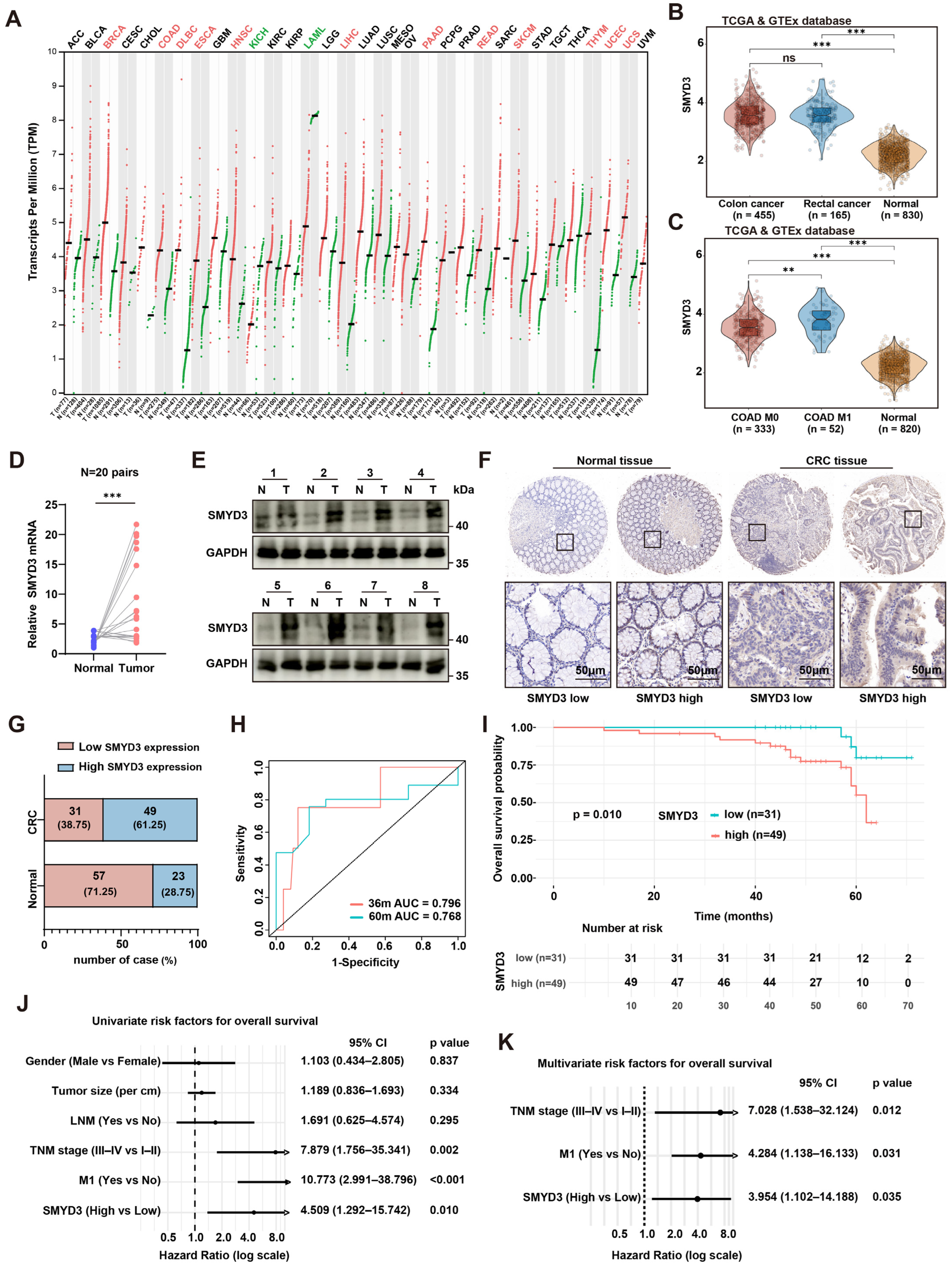 Biomedicines 13 02737 g001