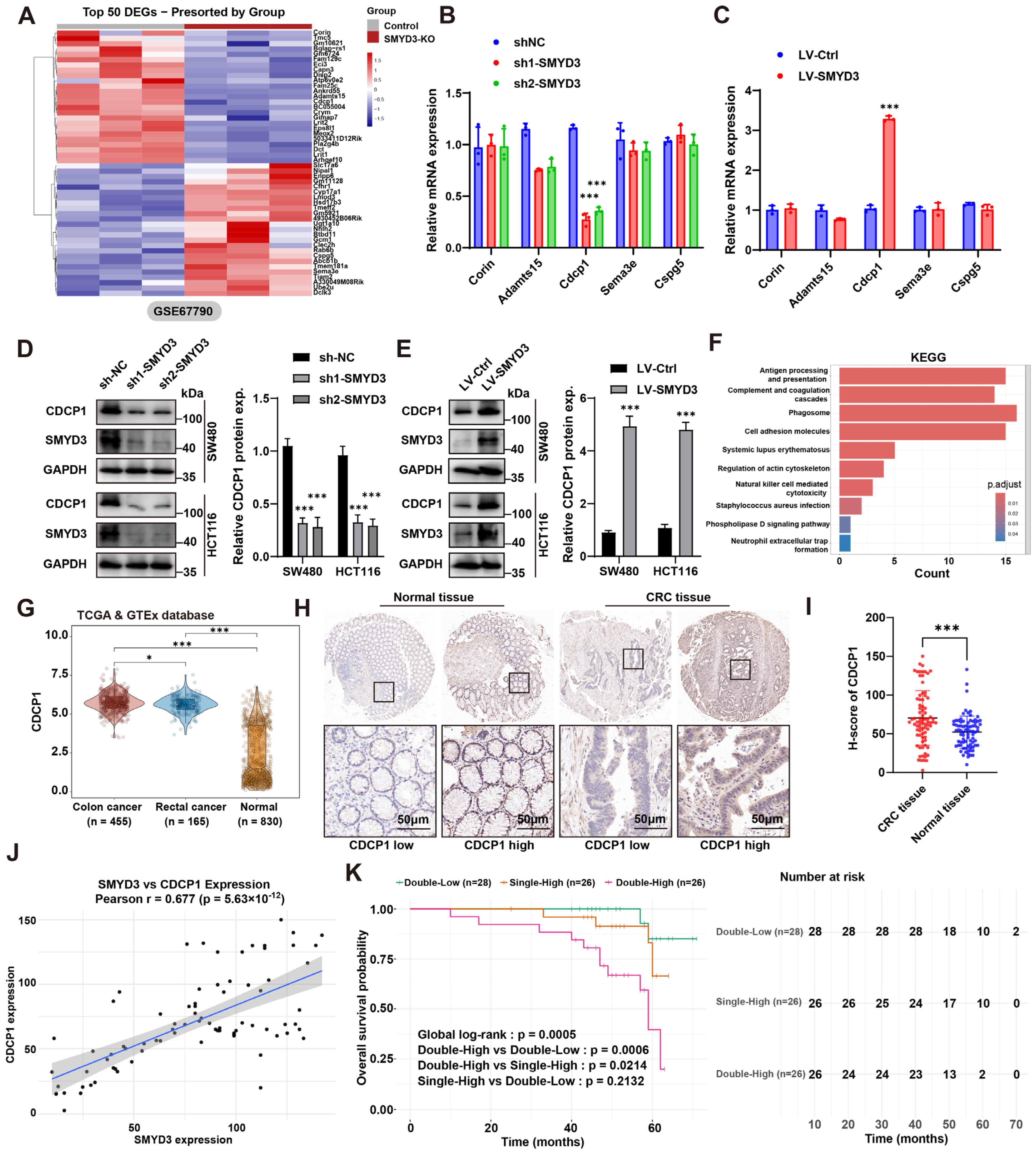 Biomedicines 13 02737 g003