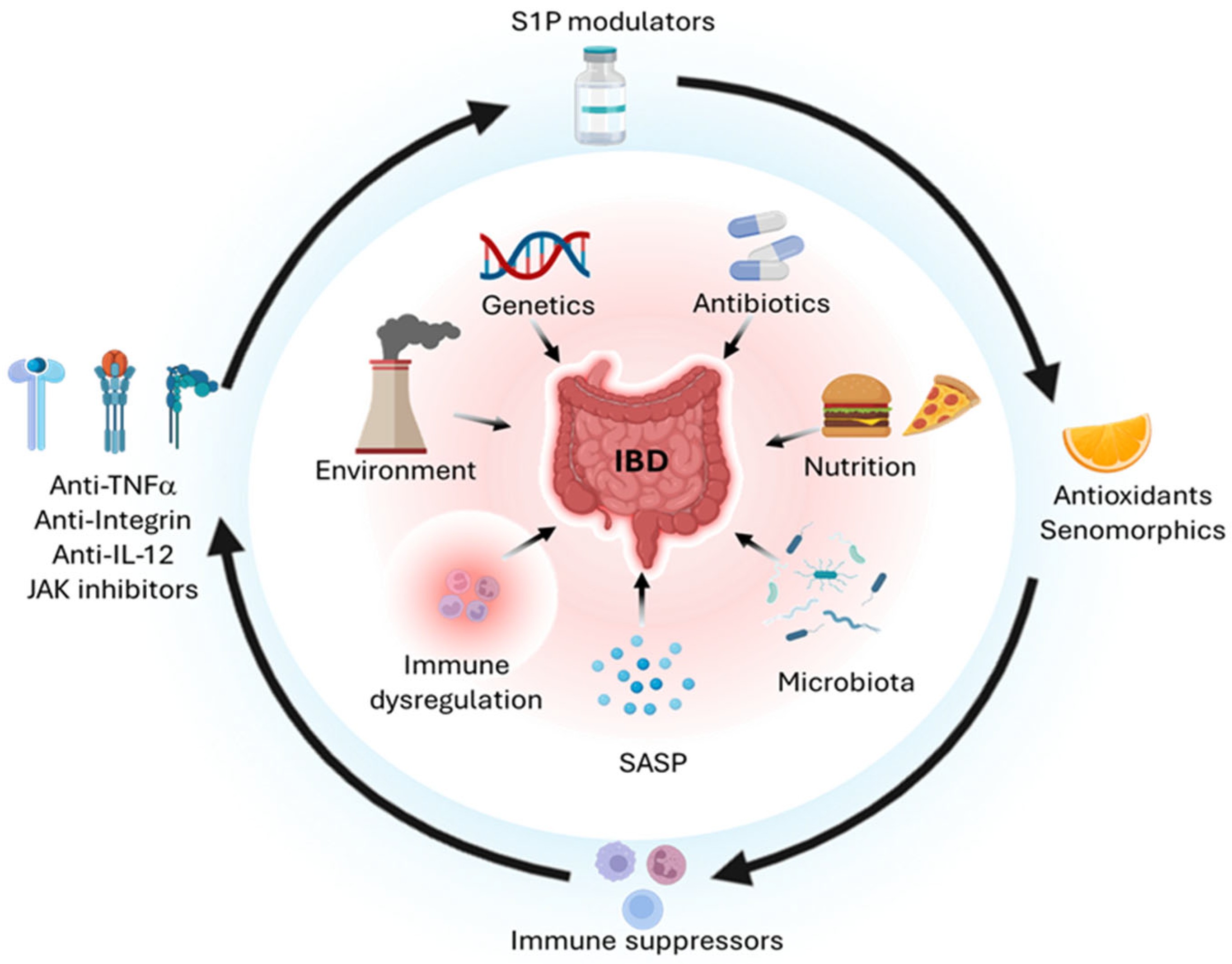 Biomedicines 13 02738 g001