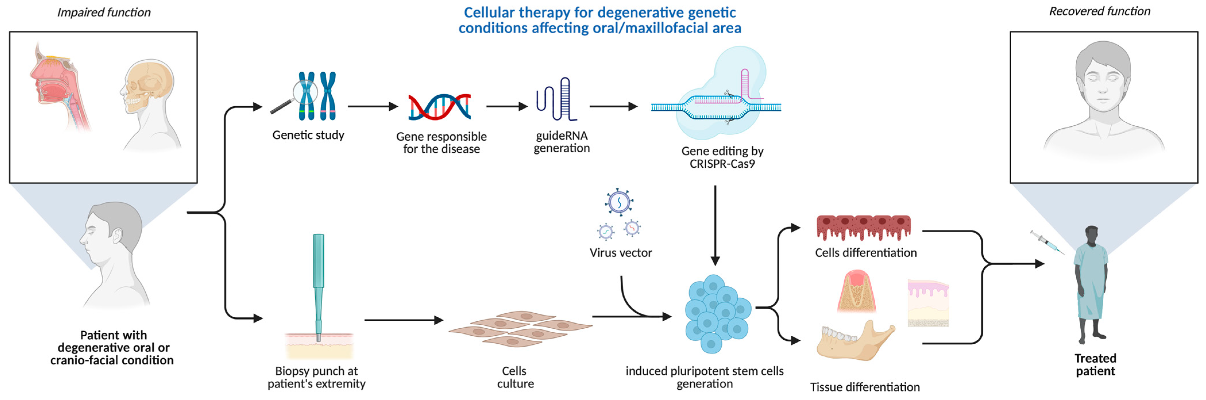Biomedicines 13 02745 g005