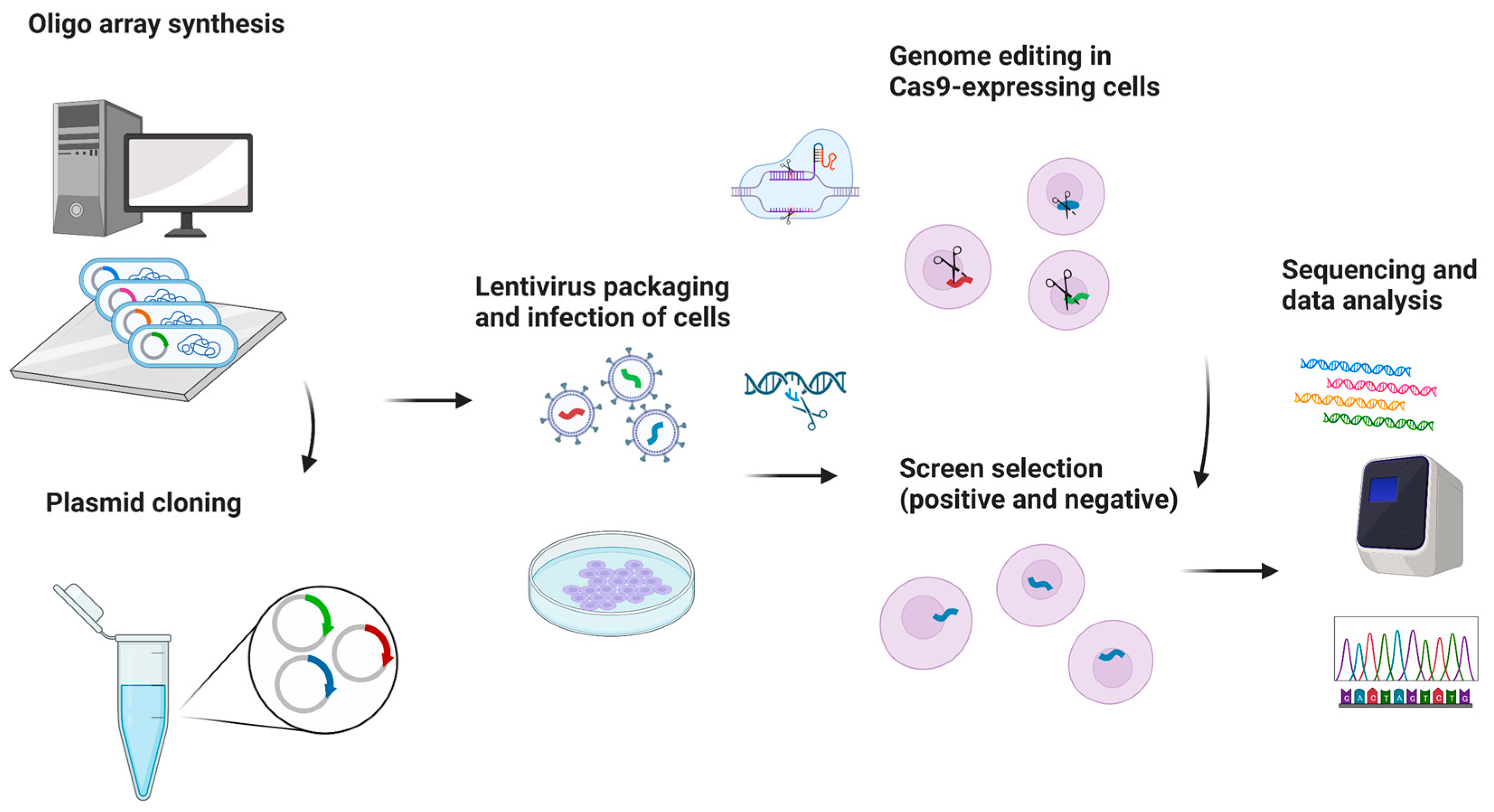 Biomedicines 13 02745 g007