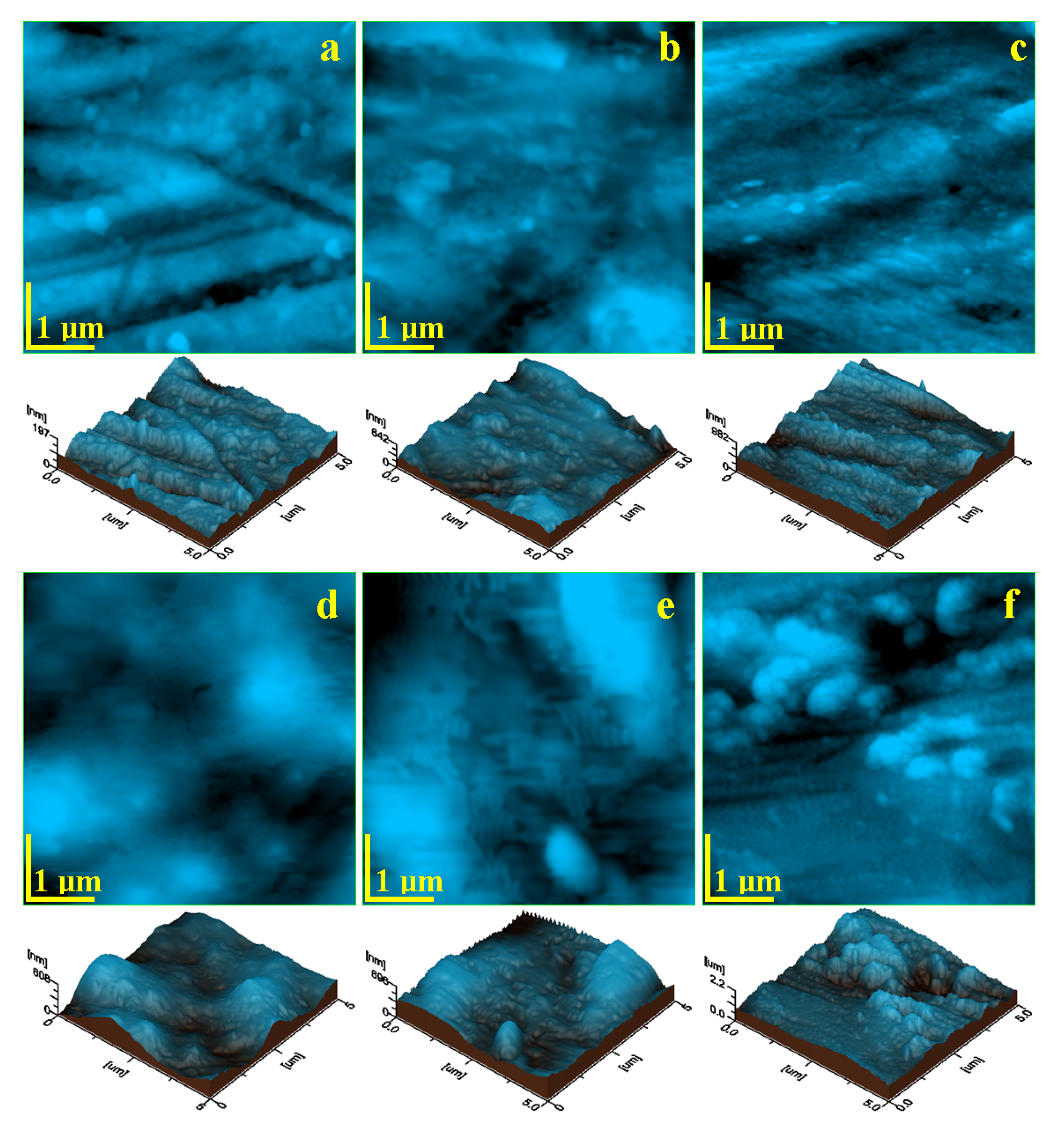 Biomedicines 13 02748 g001