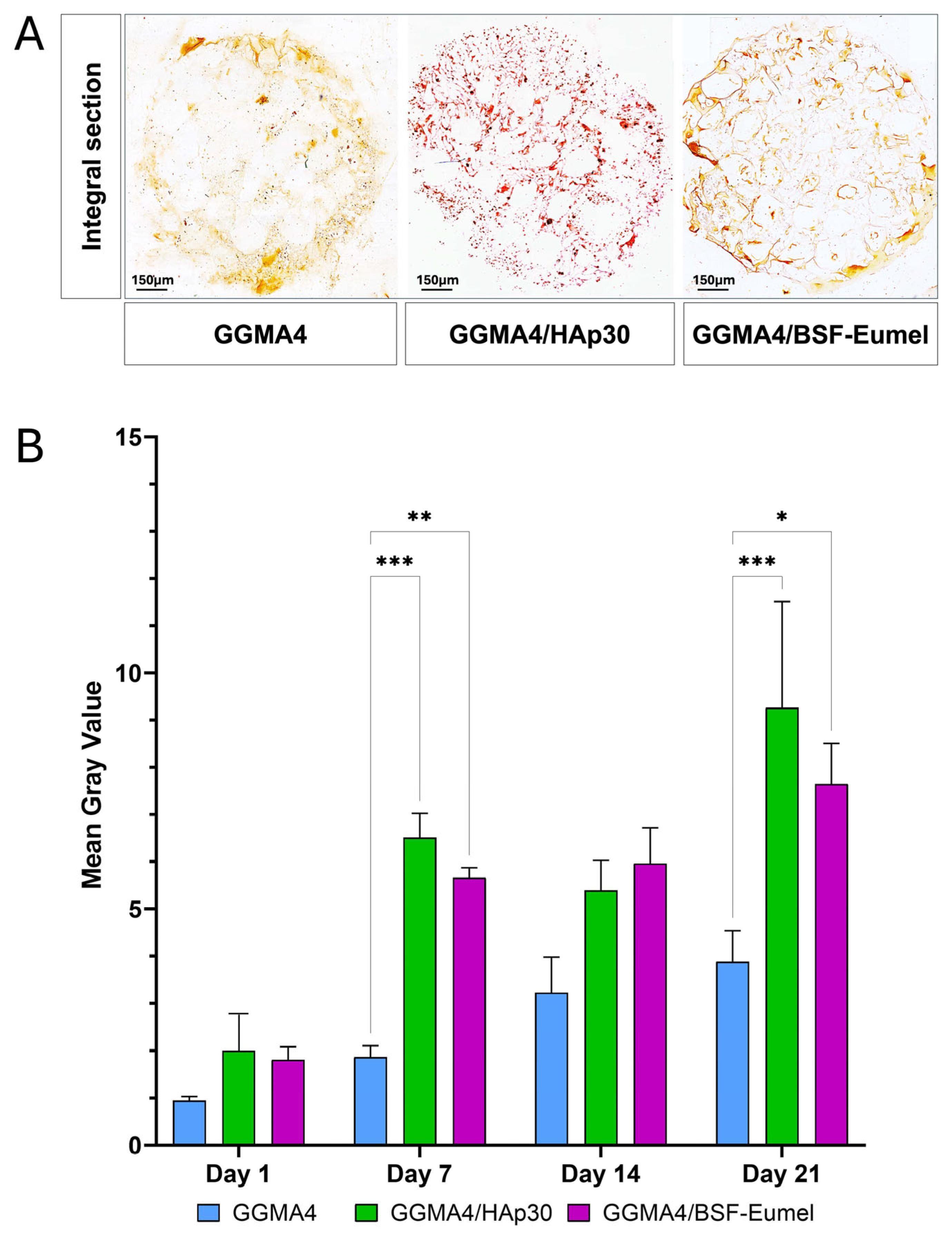 Biomedicines 13 02755 g007