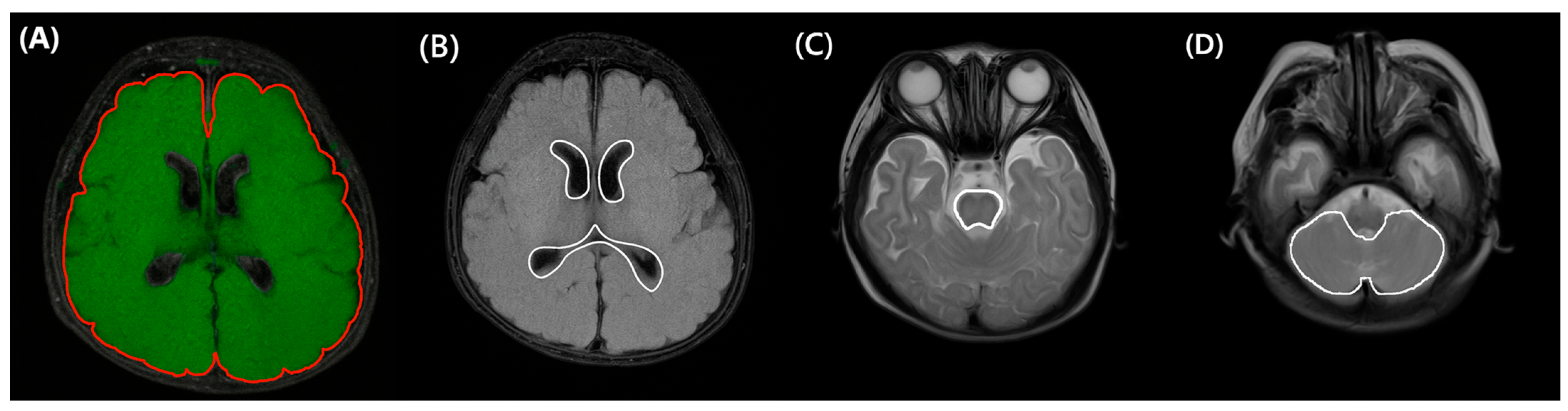 Biomedicines 13 02765 g002