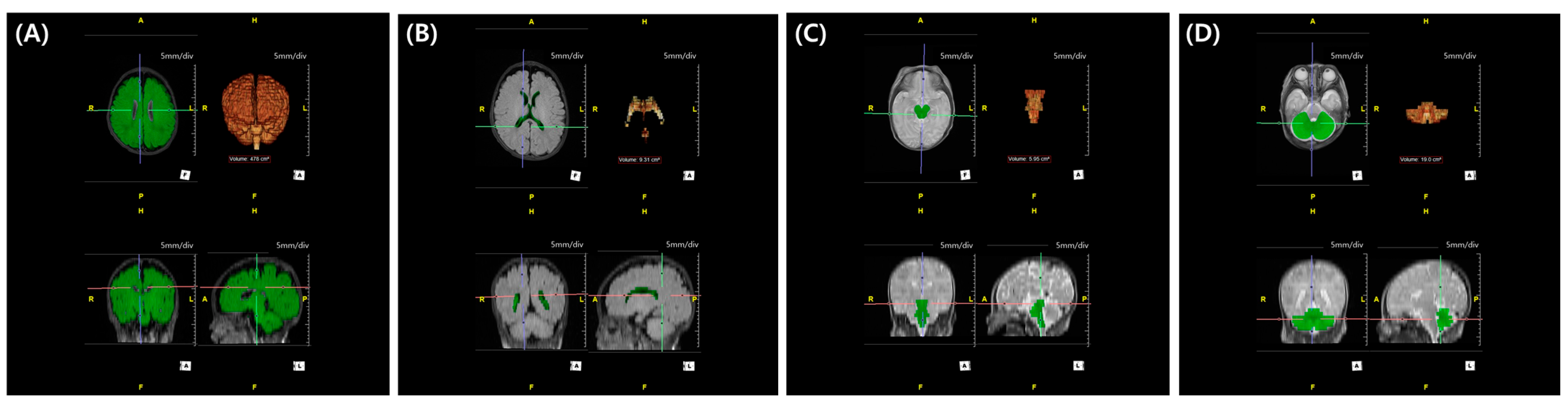 Biomedicines 13 02765 g003