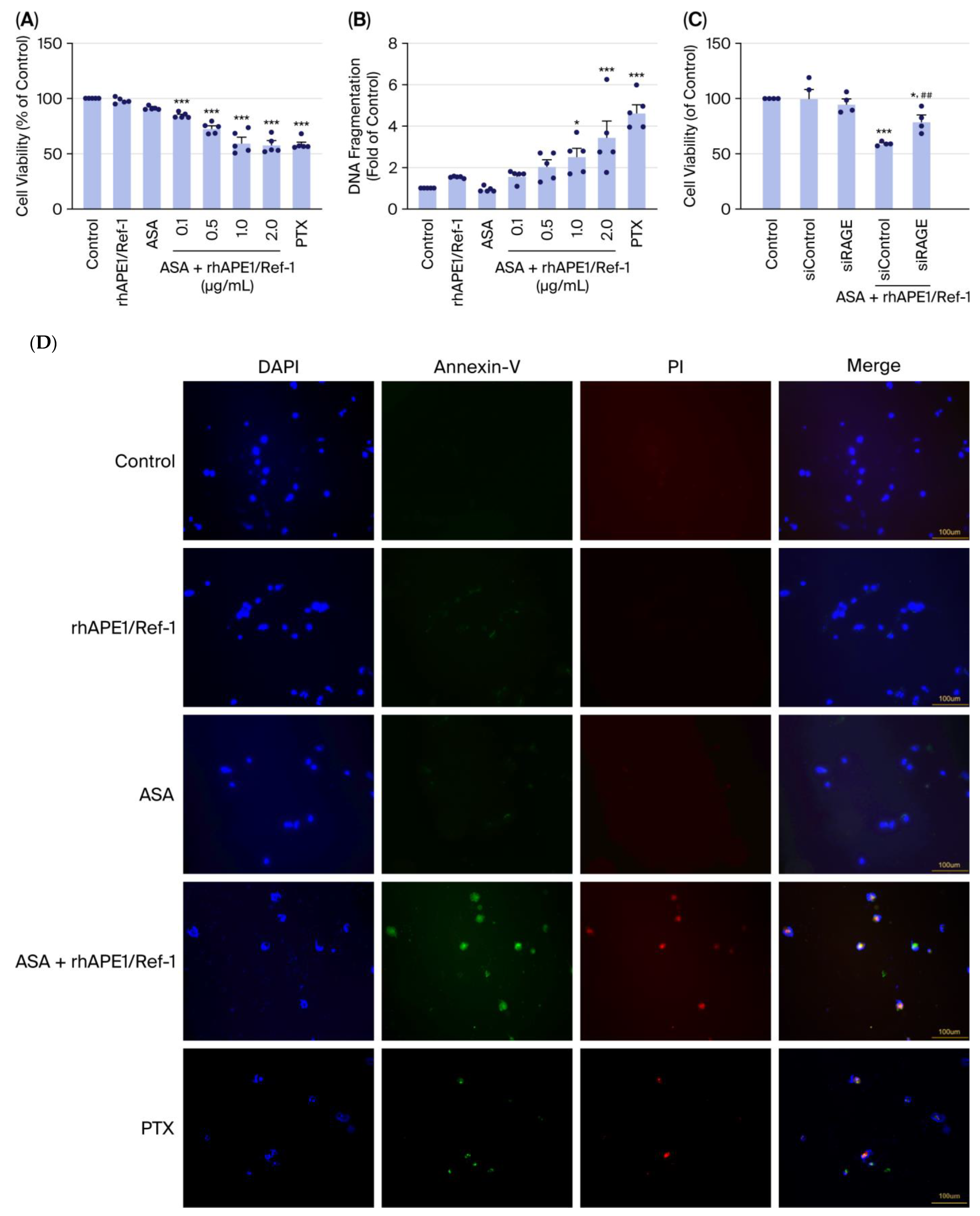 Biomedicines 13 02767 g001 Biomedicines 13 02767 g001