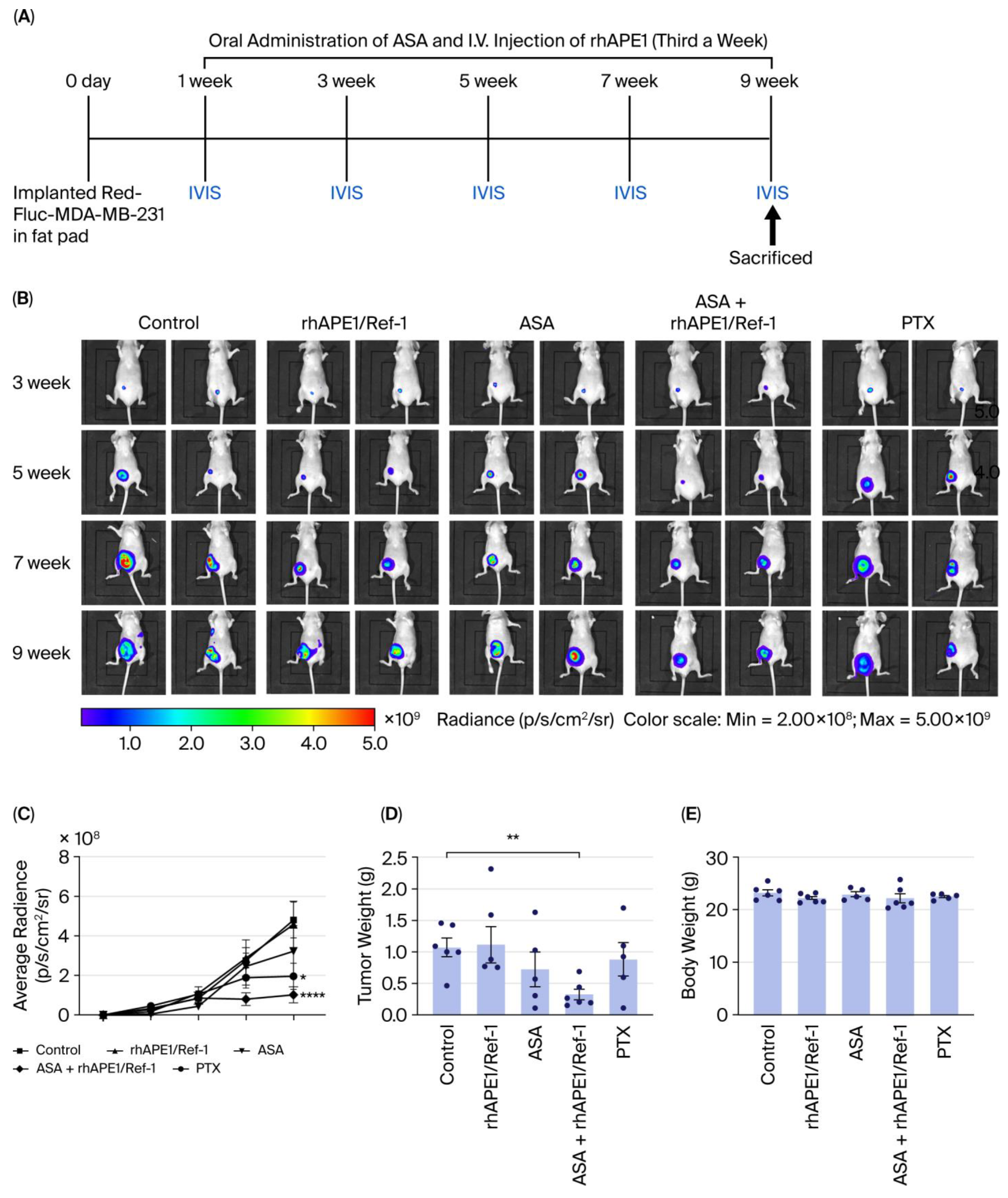 Biomedicines 13 02767 g002 Biomedicines 13 02767 g002
