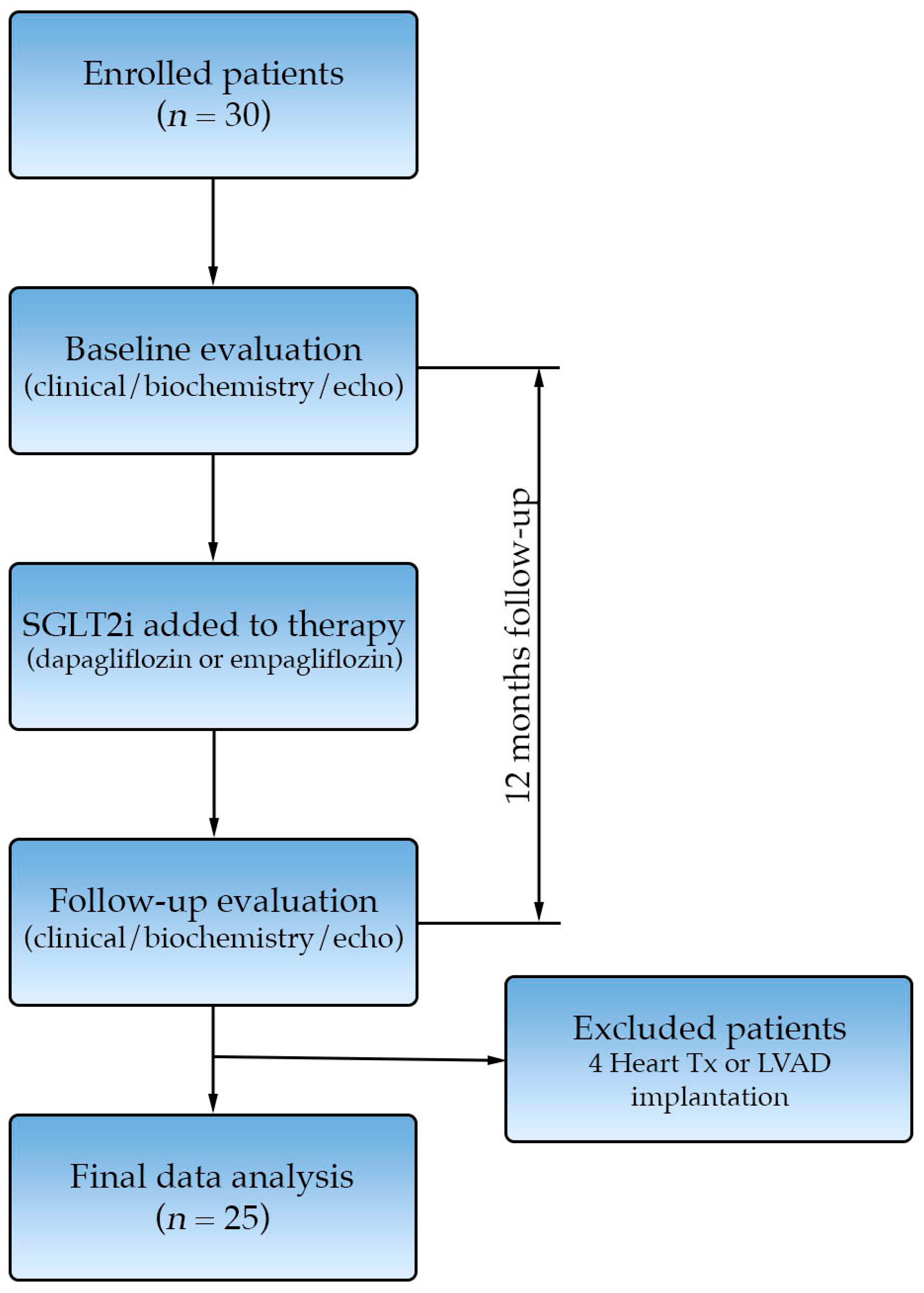 Biomedicines 13 02773 g001