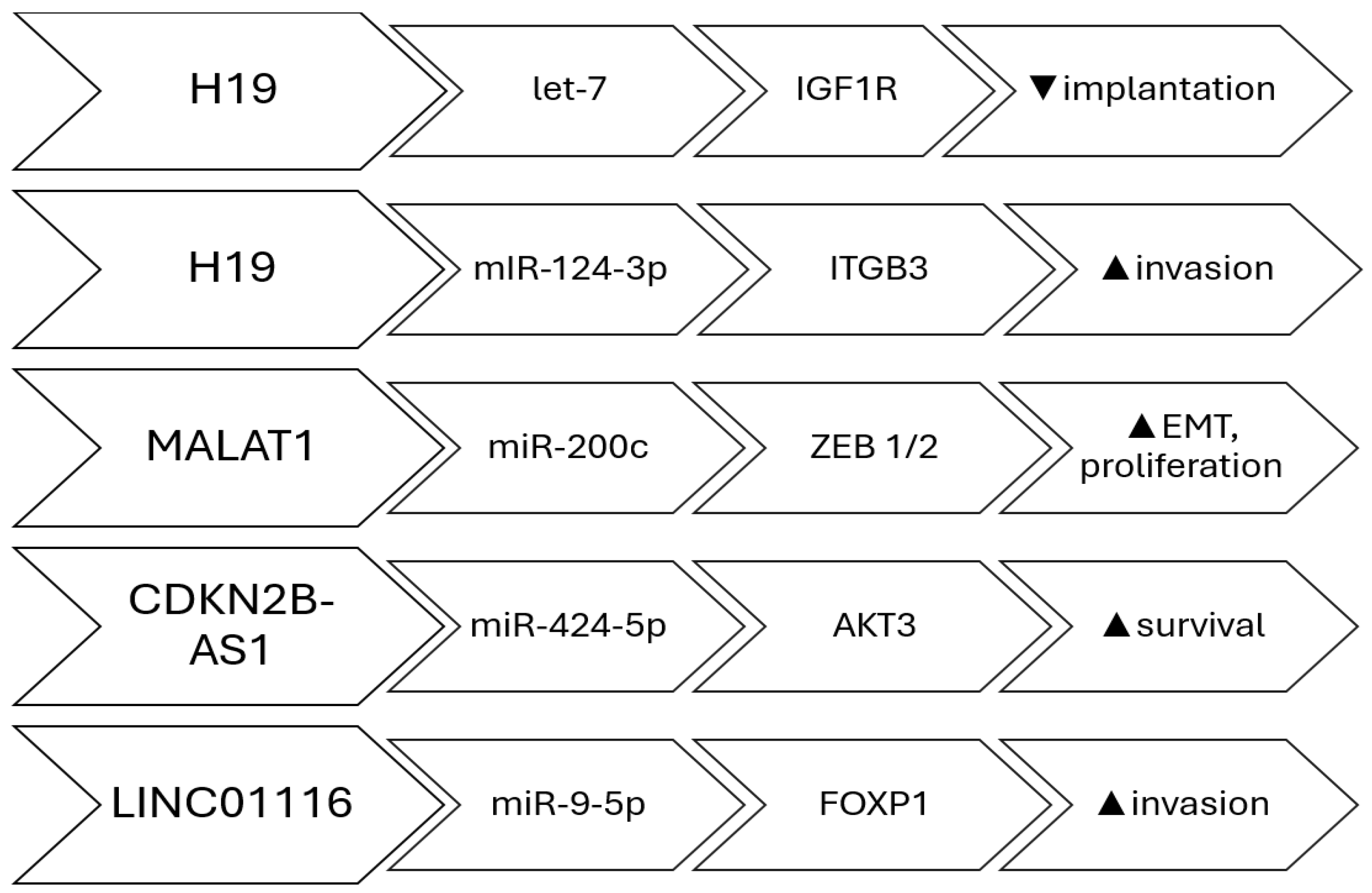 Biomedicines 13 02777 g001