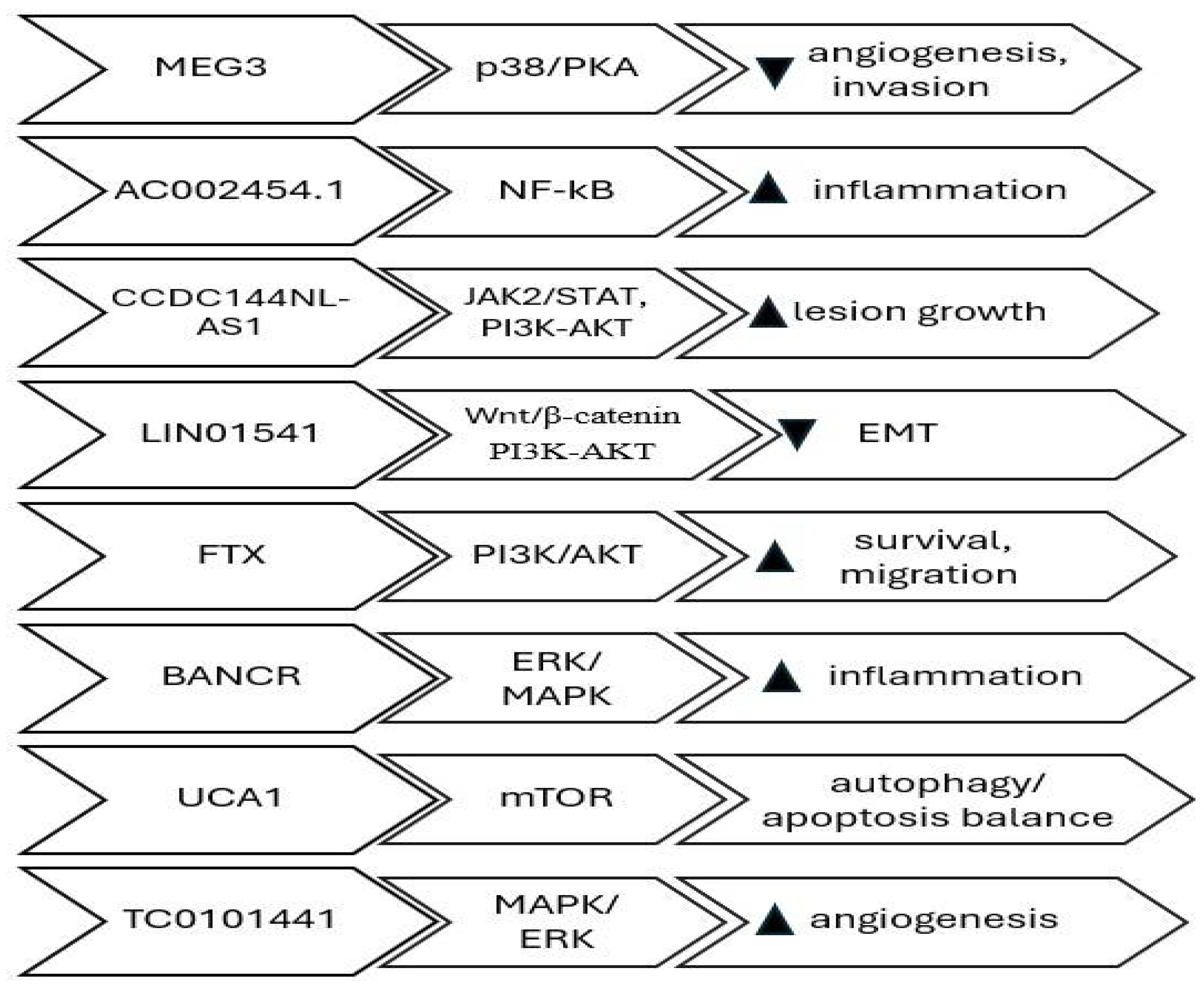 Biomedicines 13 02777 g002