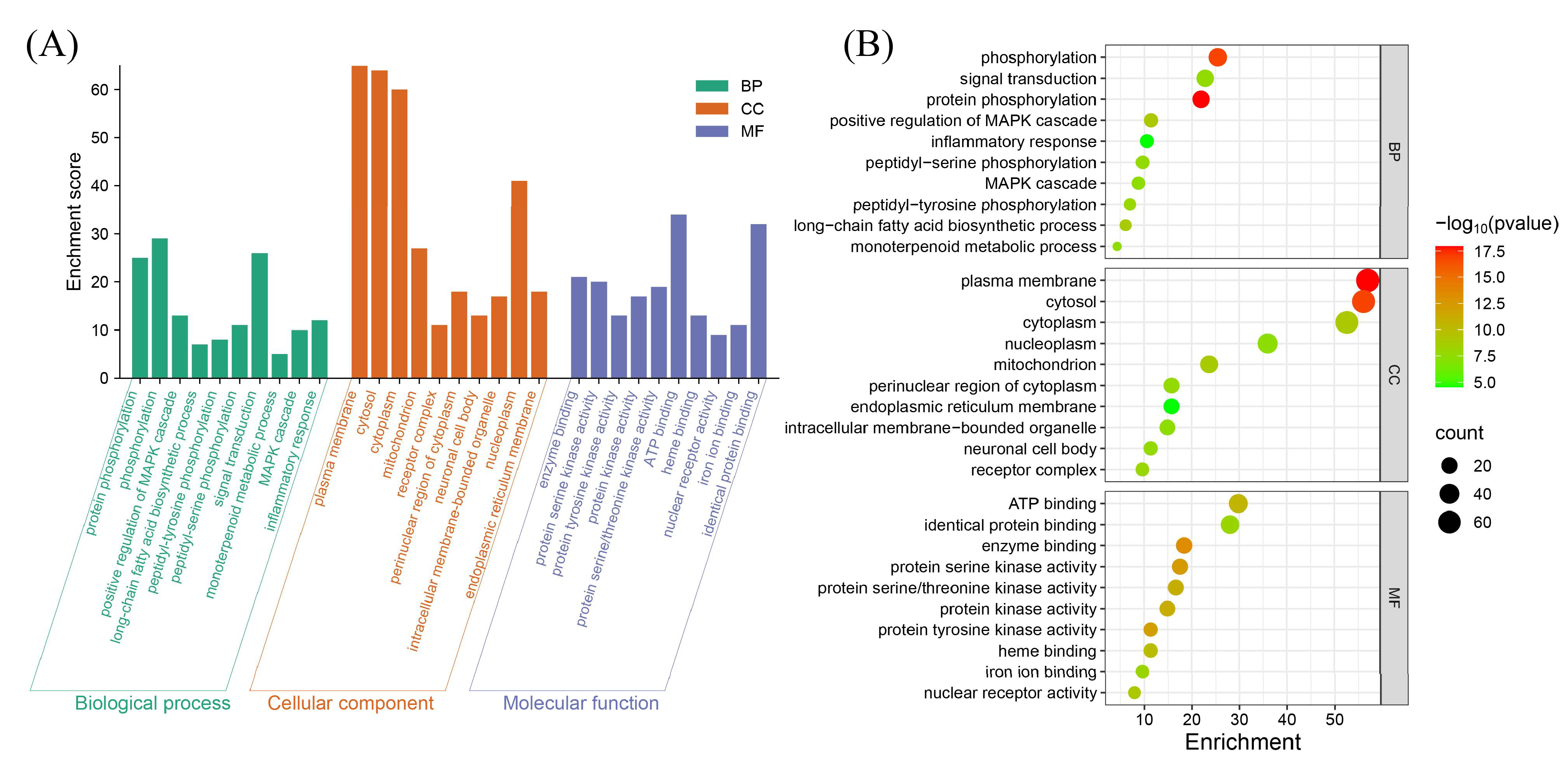 Biomedicines 13 02778 g003