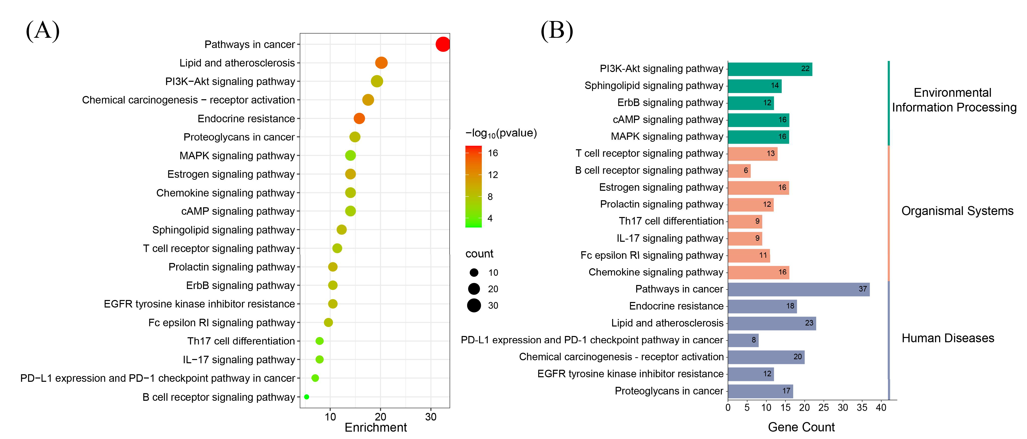 Biomedicines 13 02778 g004