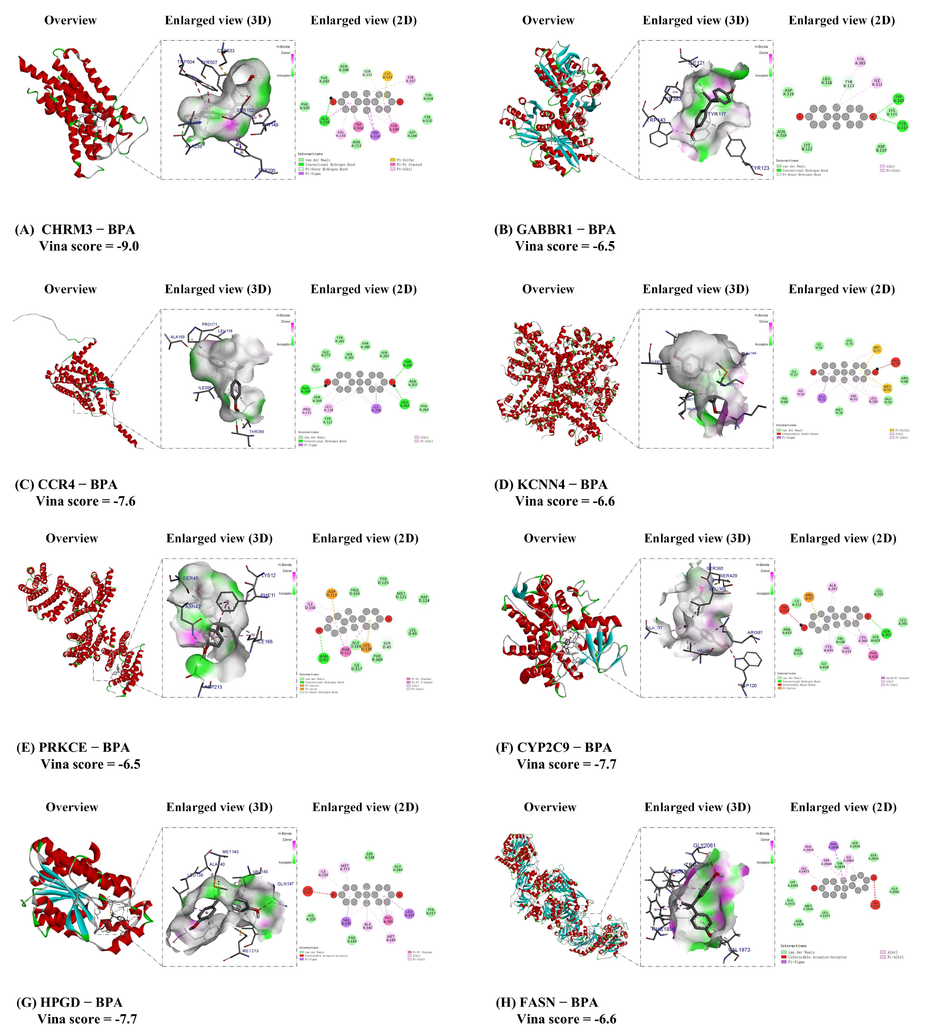 Biomedicines 13 02778 g007