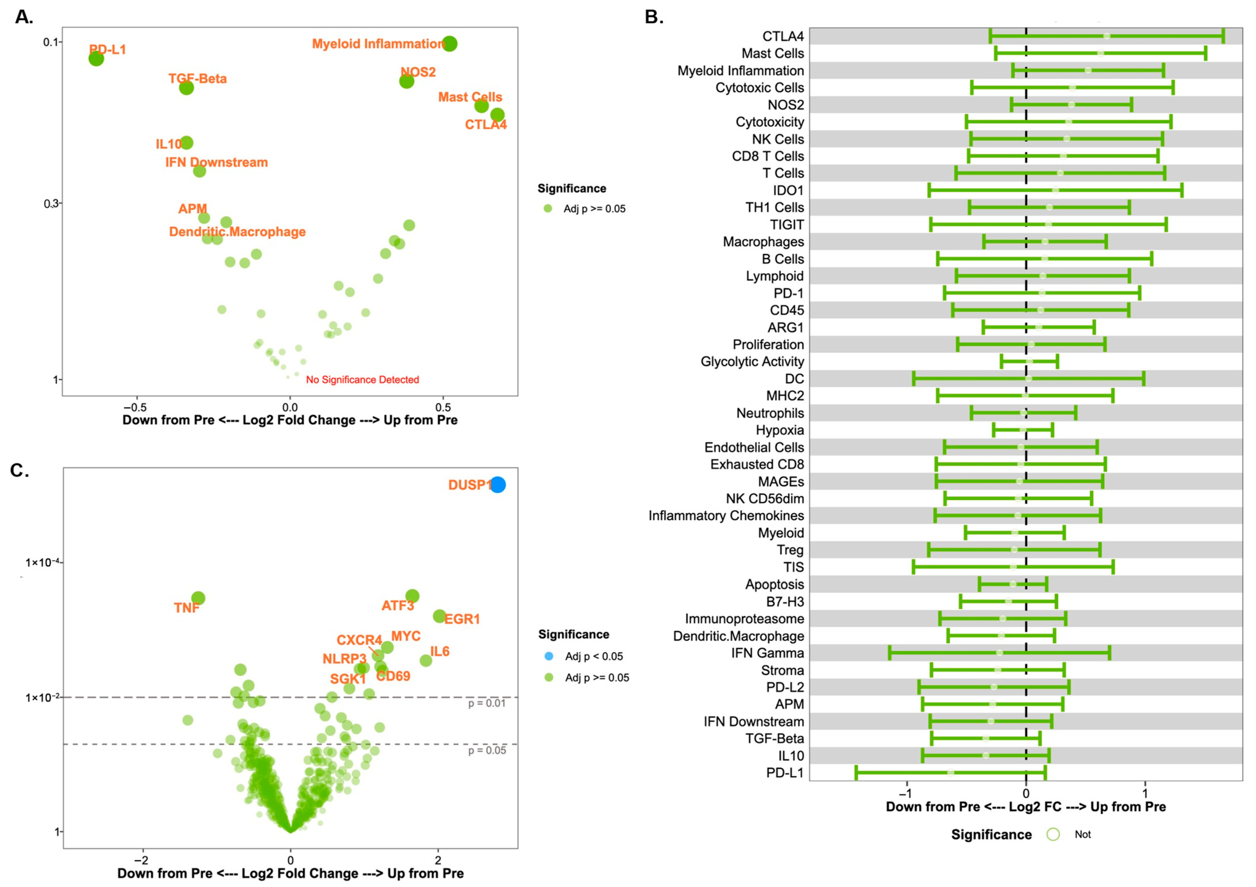 Biomedicines 13 02784 g001