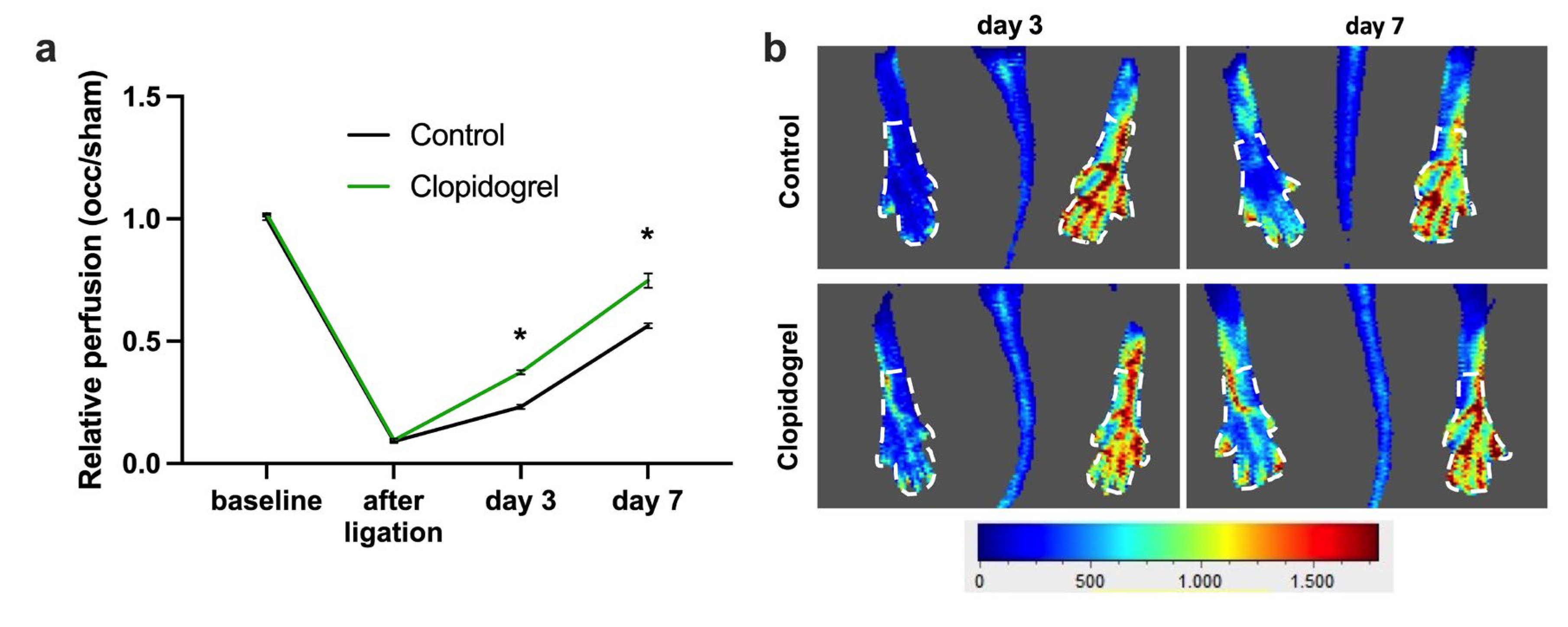 Biomedicines 13 02790 g001 Biomedicines 13 02790 g001