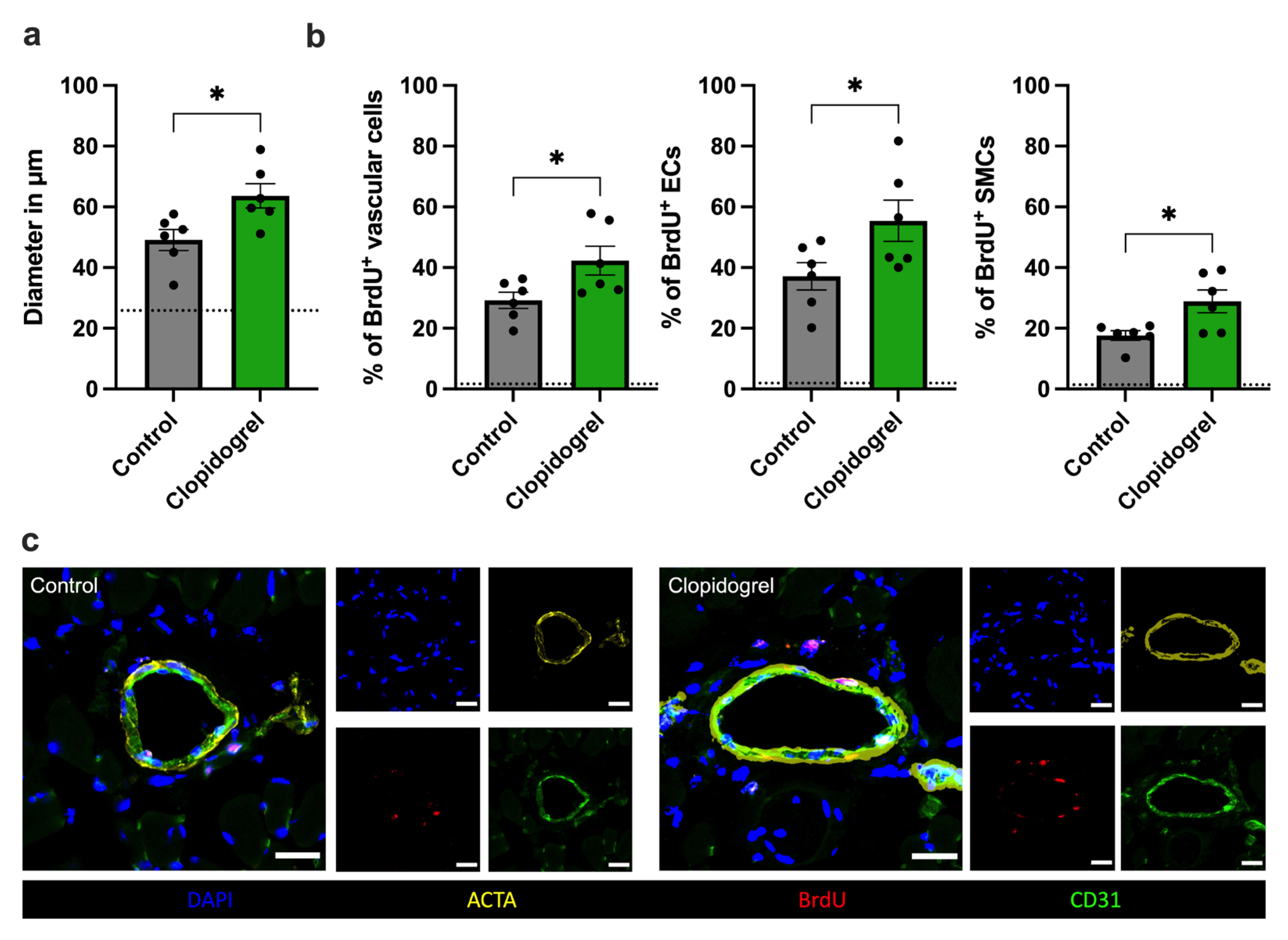 Biomedicines 13 02790 g002 Biomedicines 13 02790 g002
