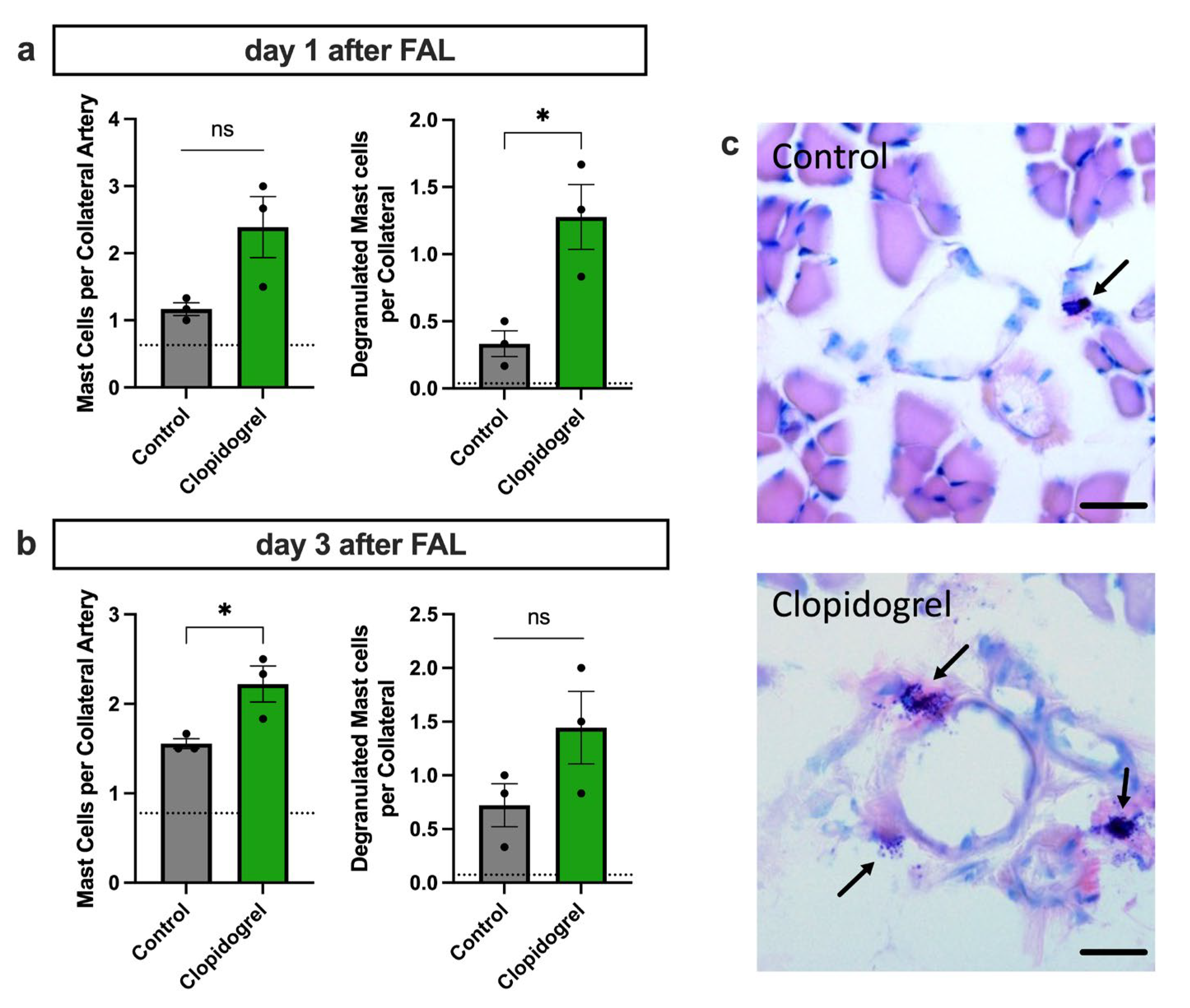 Biomedicines 13 02790 g004 Biomedicines 13 02790 g004