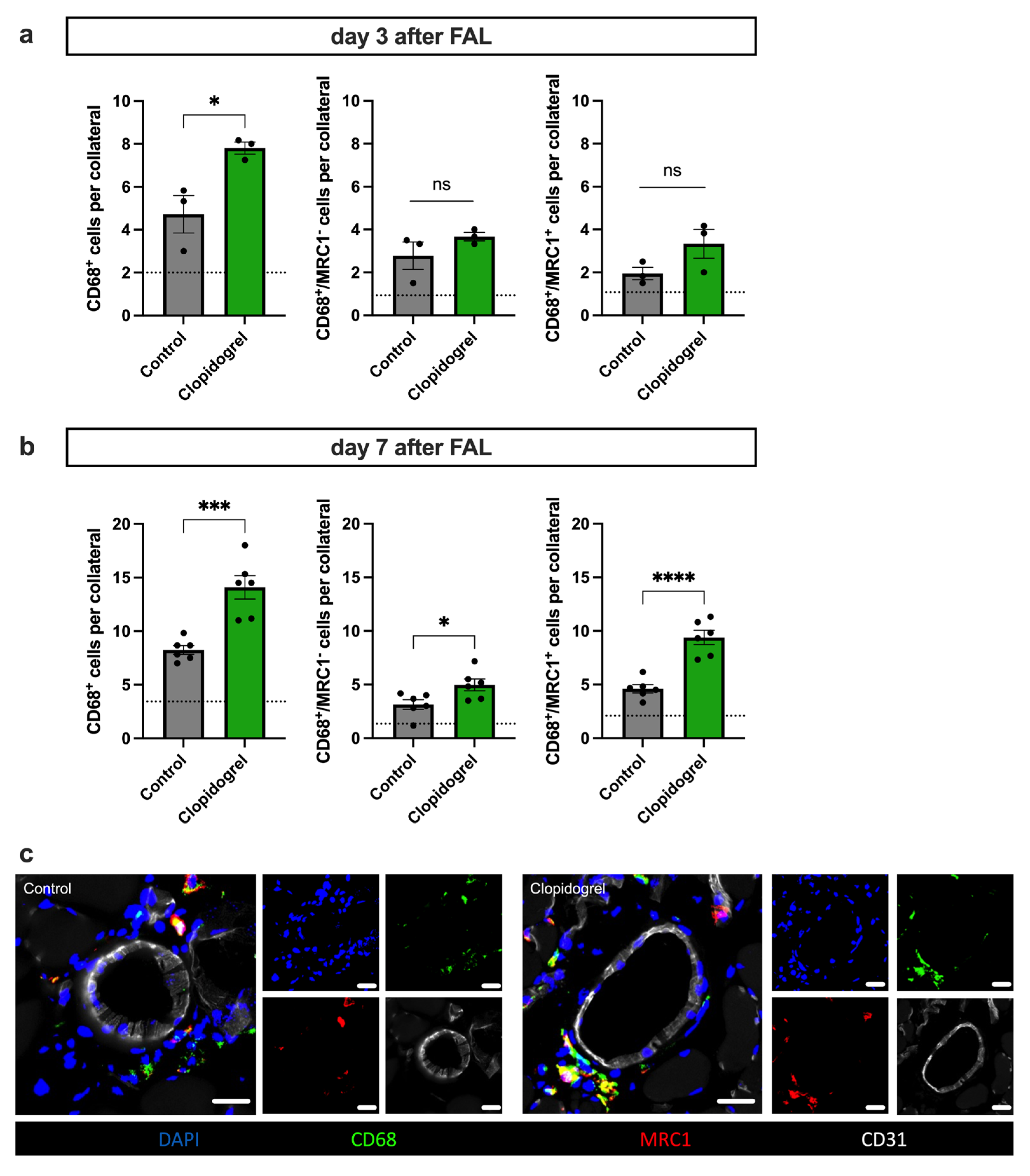 Biomedicines 13 02790 g005 Biomedicines 13 02790 g005