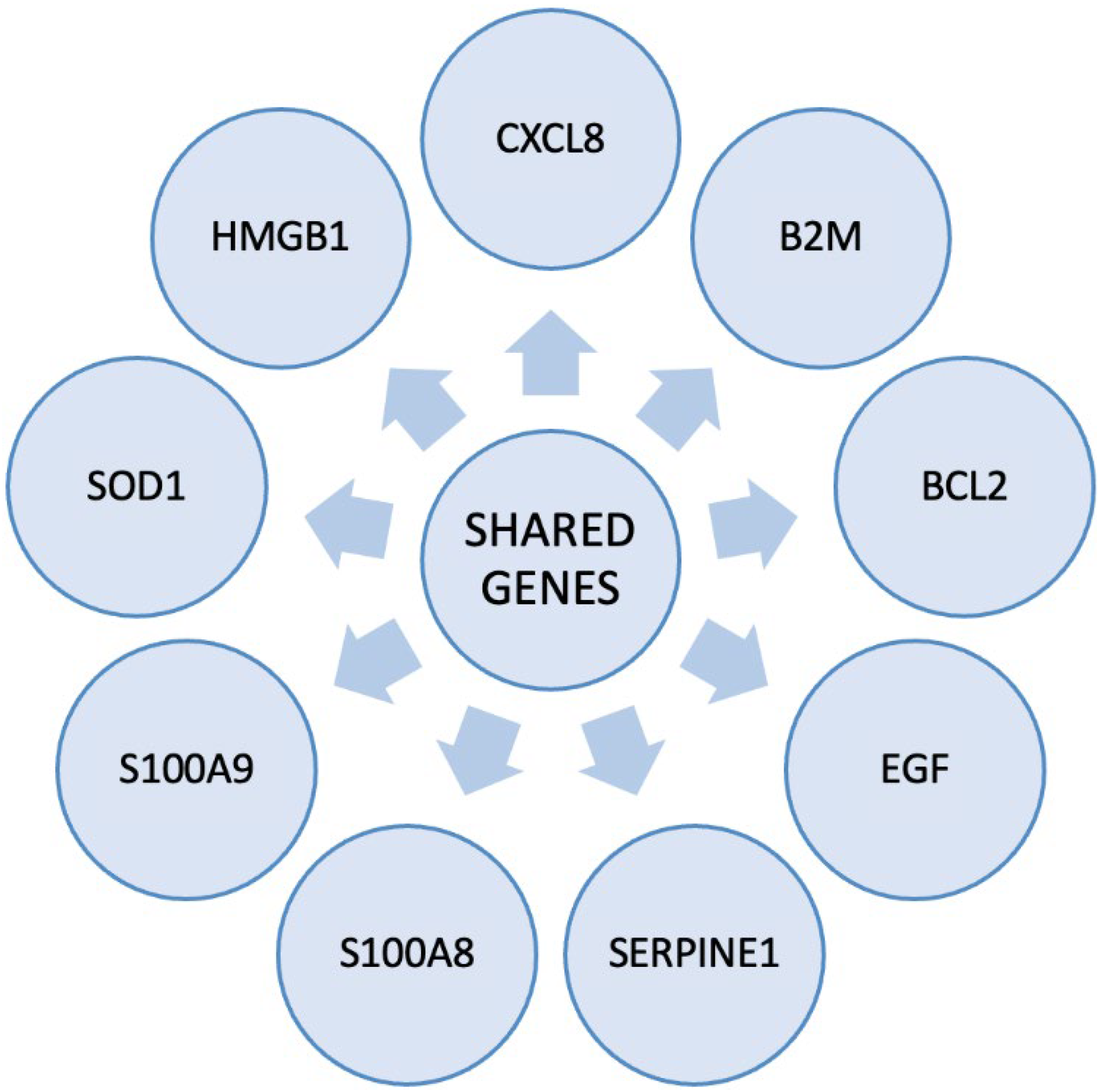 Biomedicines 13 02797 g001