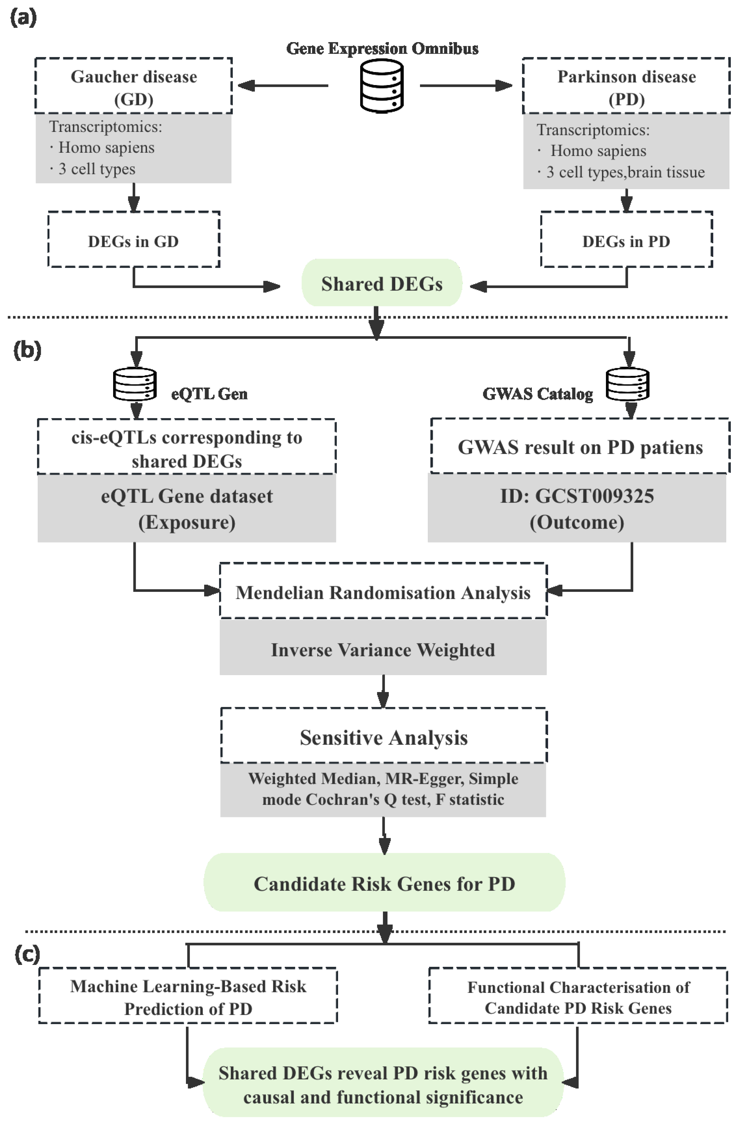 Biomedicines 13 02799 g001