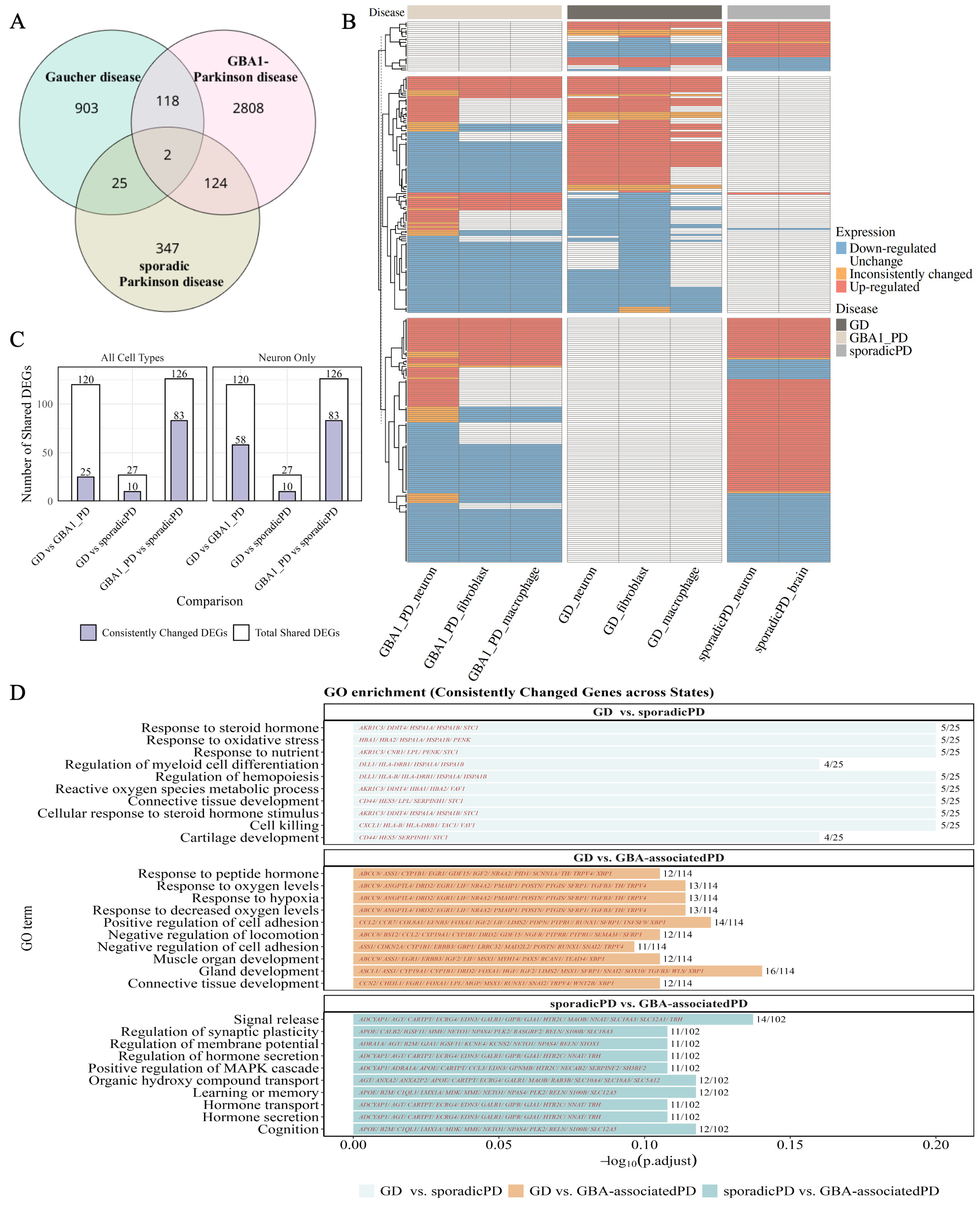 Biomedicines 13 02799 g002