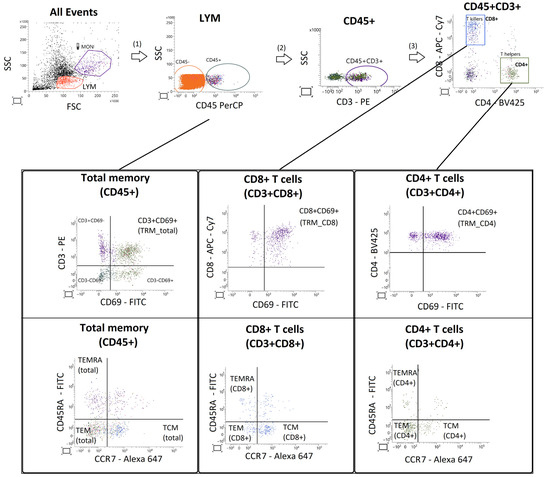 Biomedicines 13 02800 g0a2