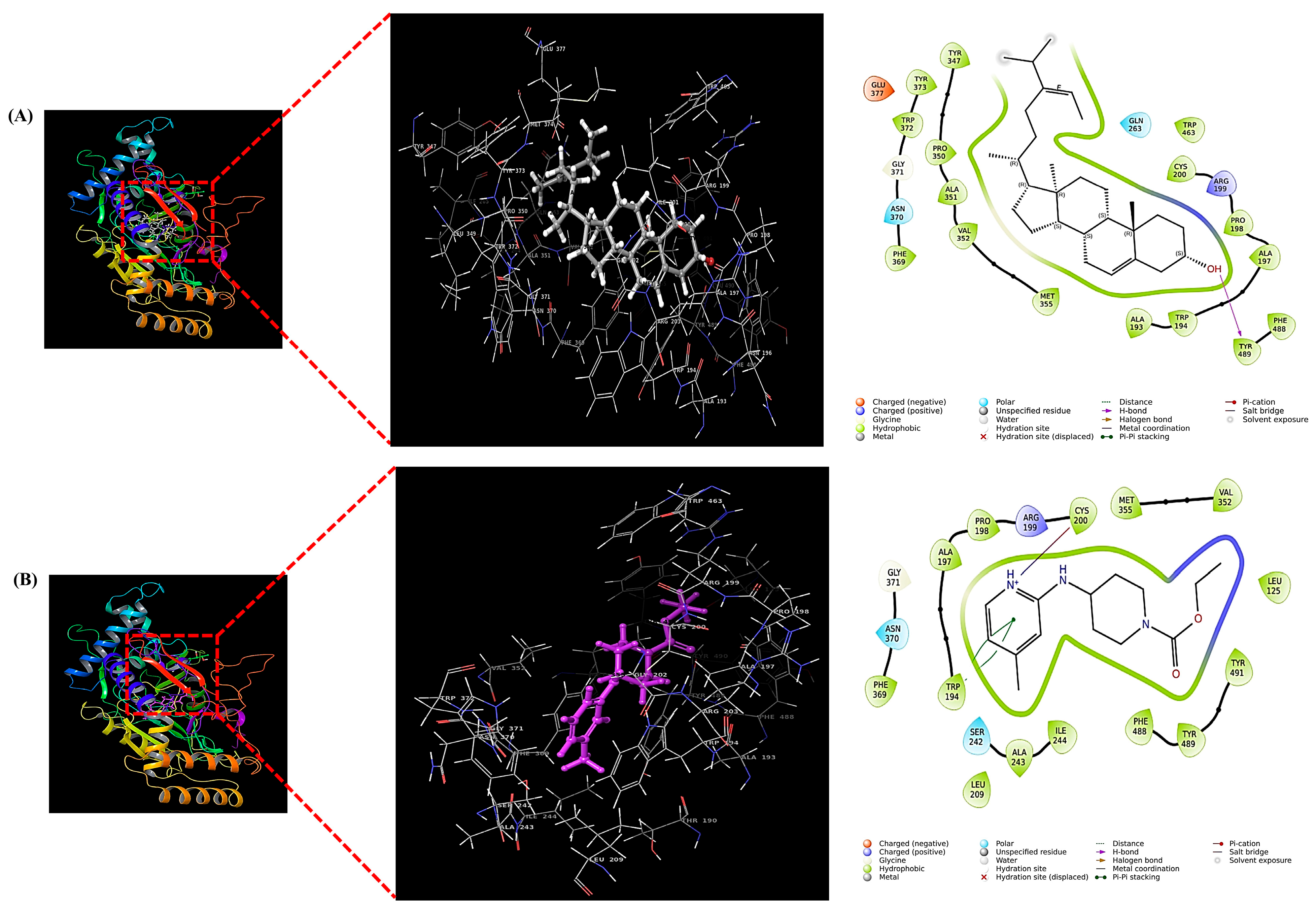 Biomedicines 13 02808 g009 Biomedicines 13 02808 g009