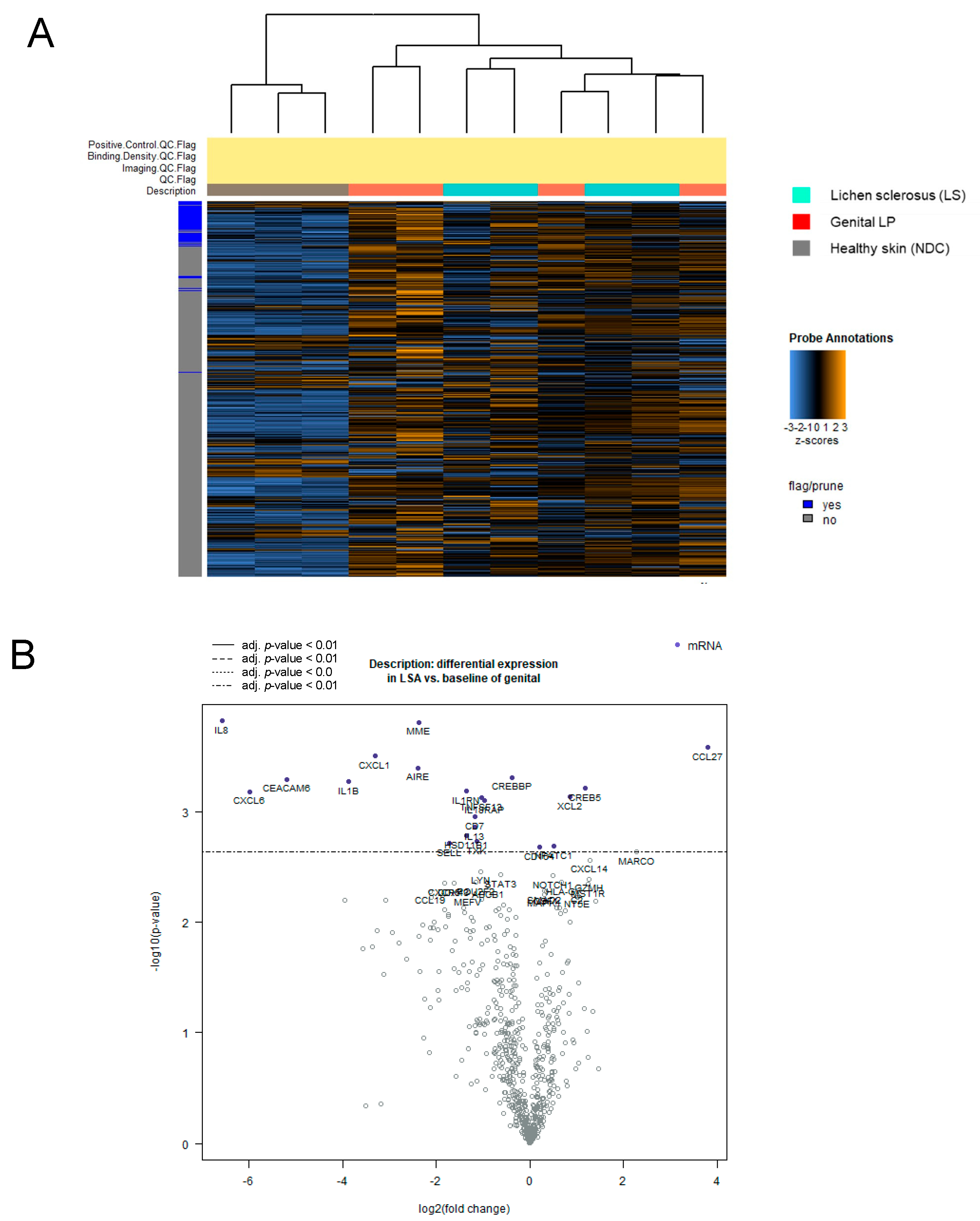 Biomedicines 13 02817 g001