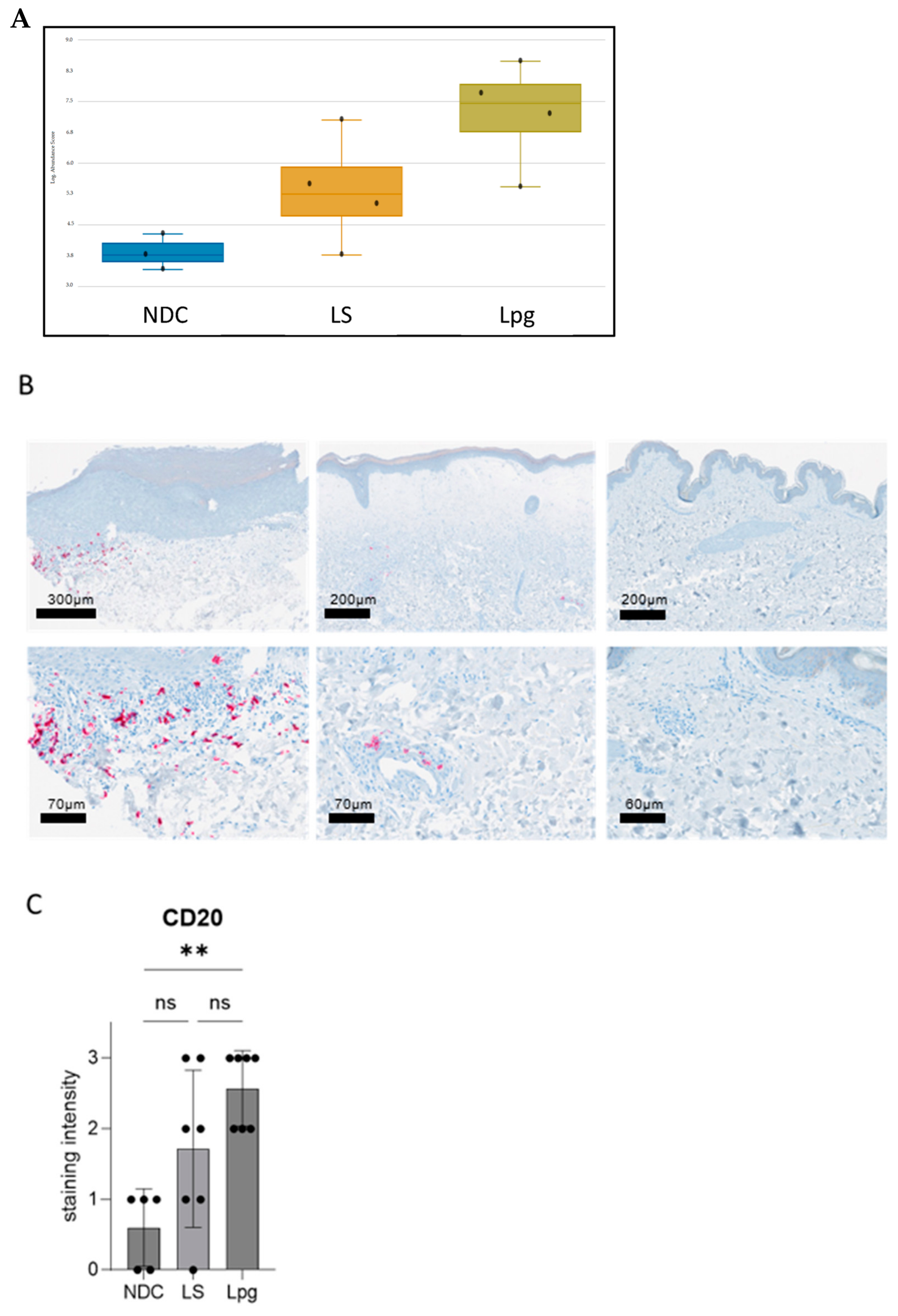 Biomedicines 13 02817 g003