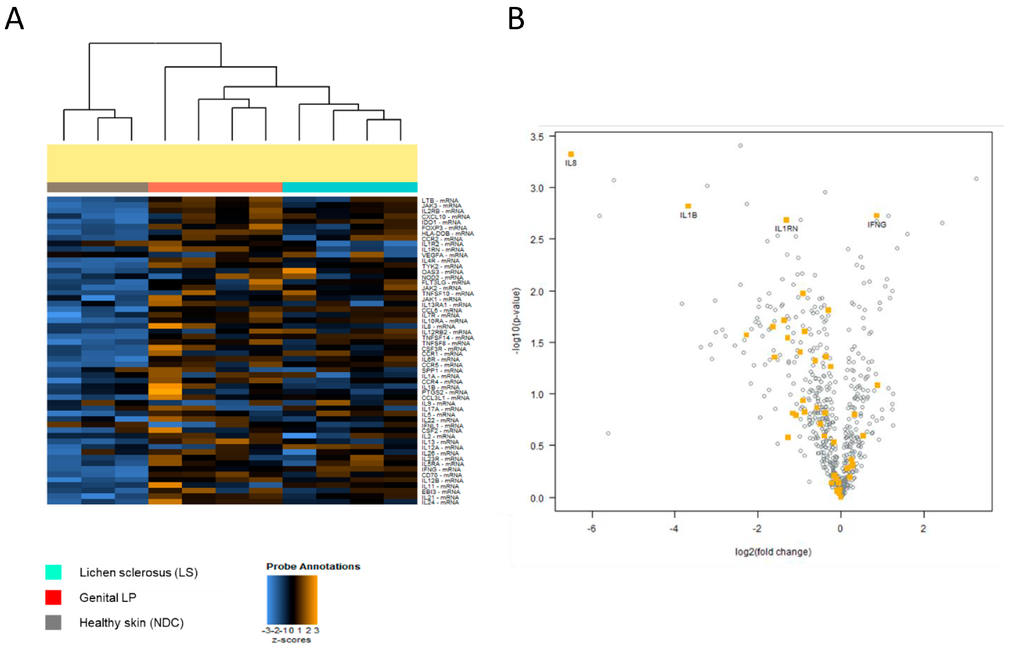 Biomedicines 13 02817 g004