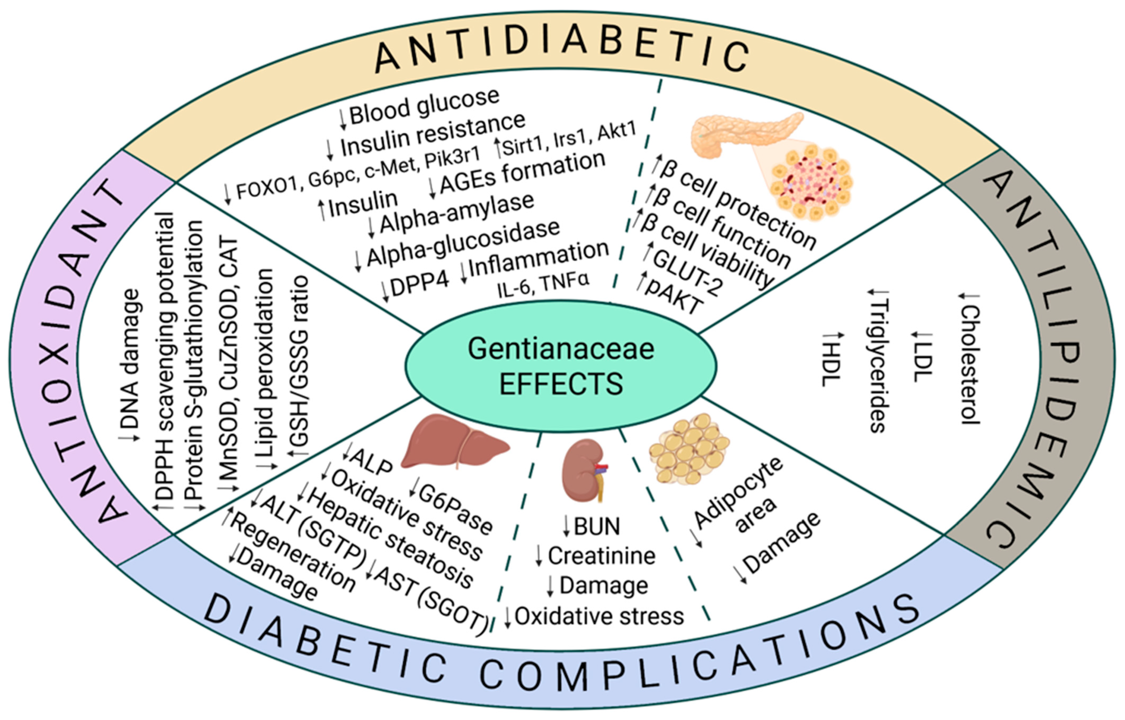 Biomedicines 13 02822 g002