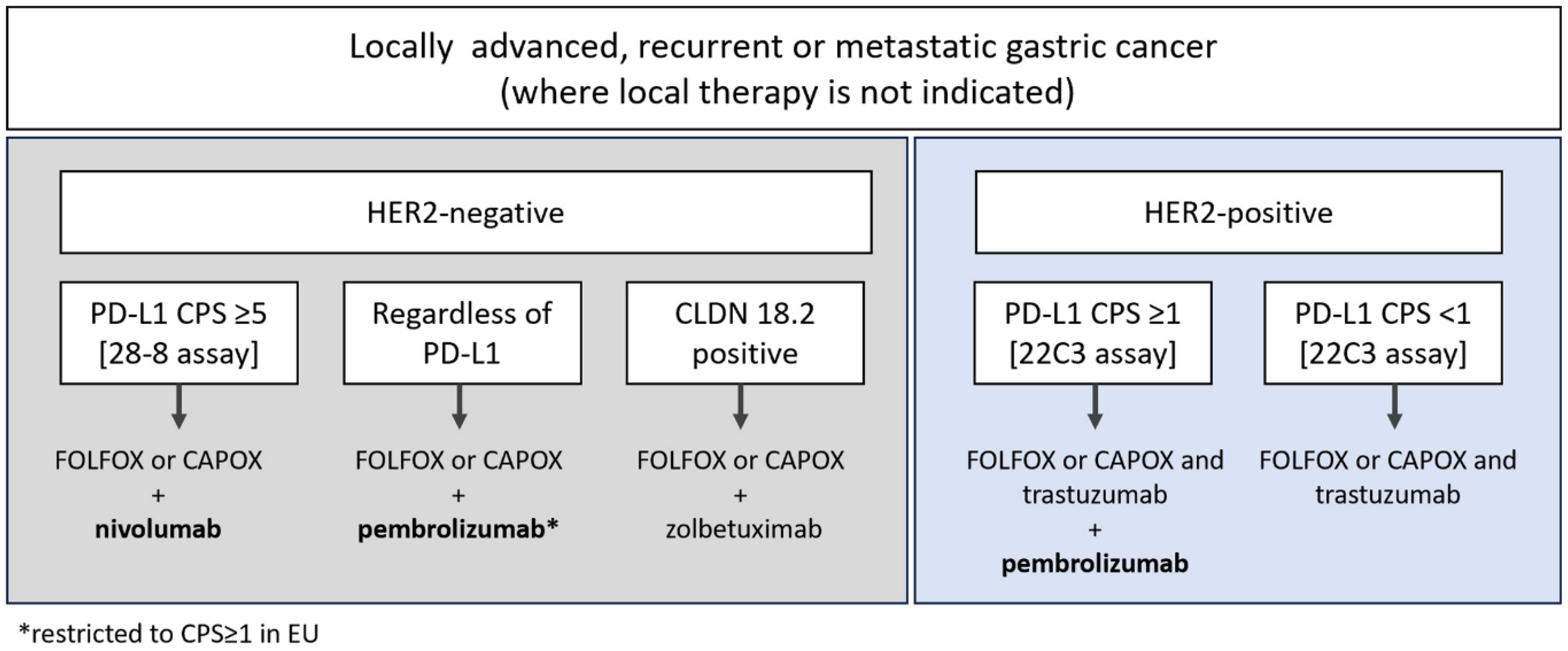 Biomedicines 13 02824 g001