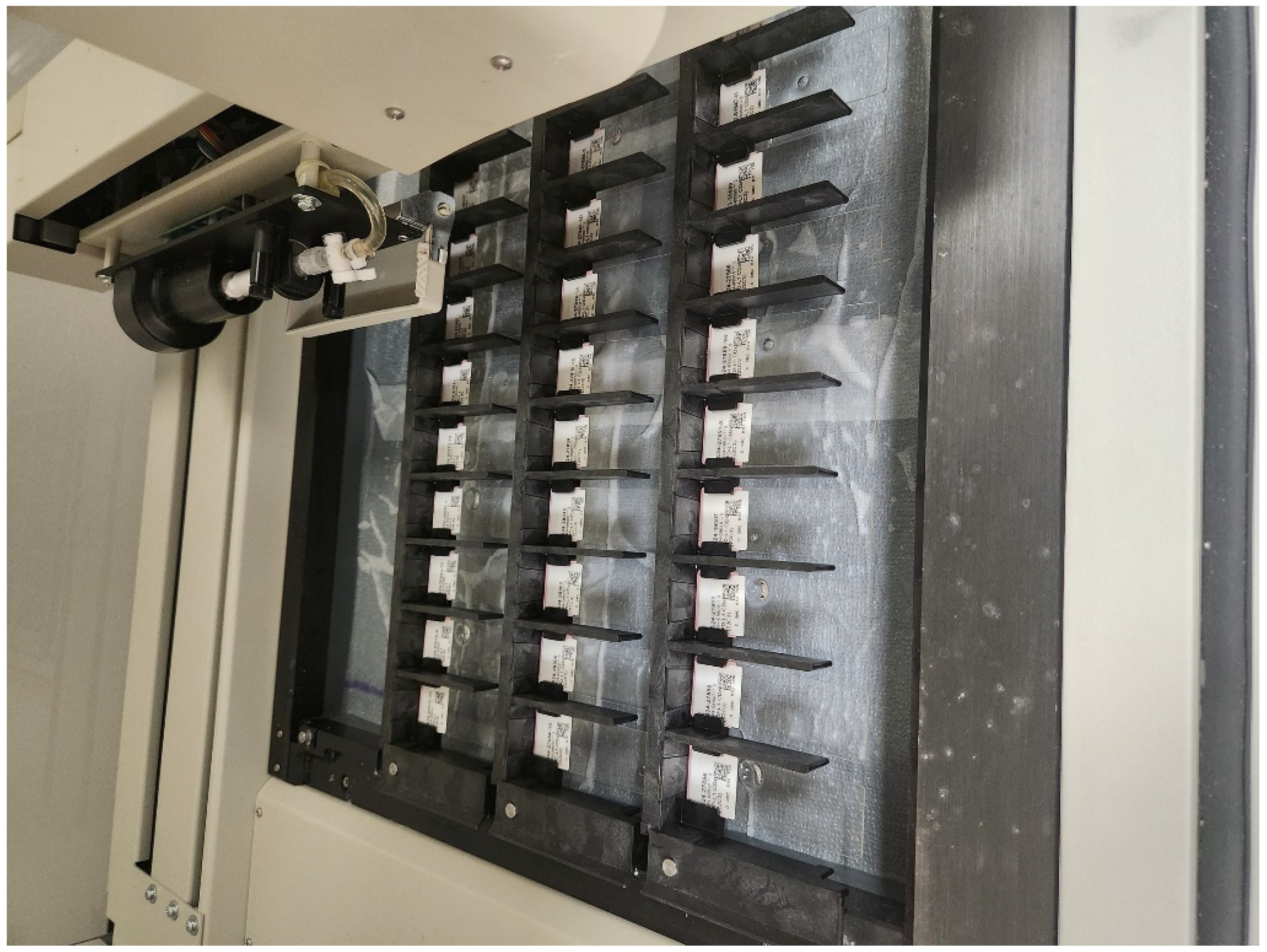 Biomedicines 13 02824 g002