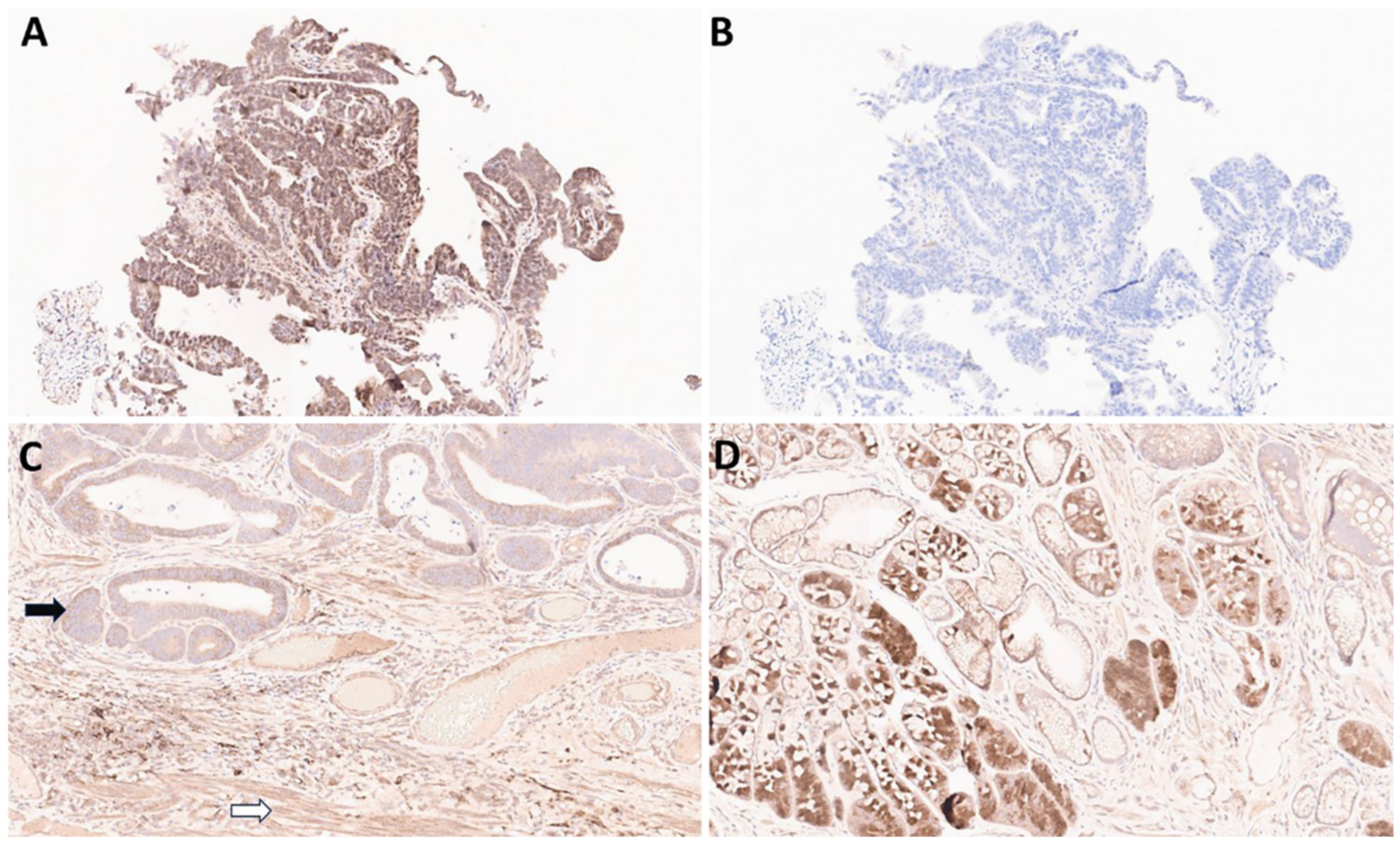 Biomedicines 13 02824 g003