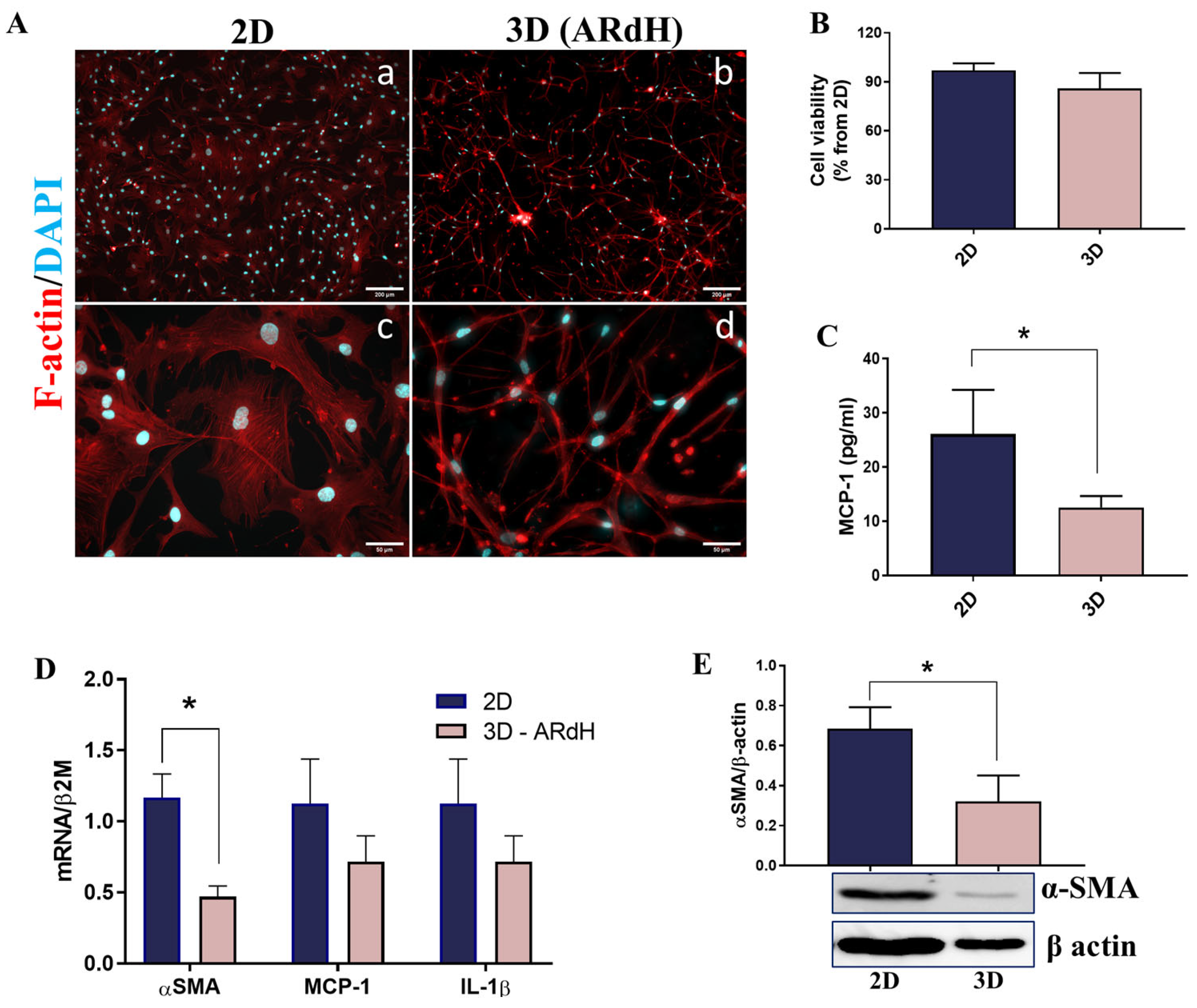 Biomedicines 13 02829 g001