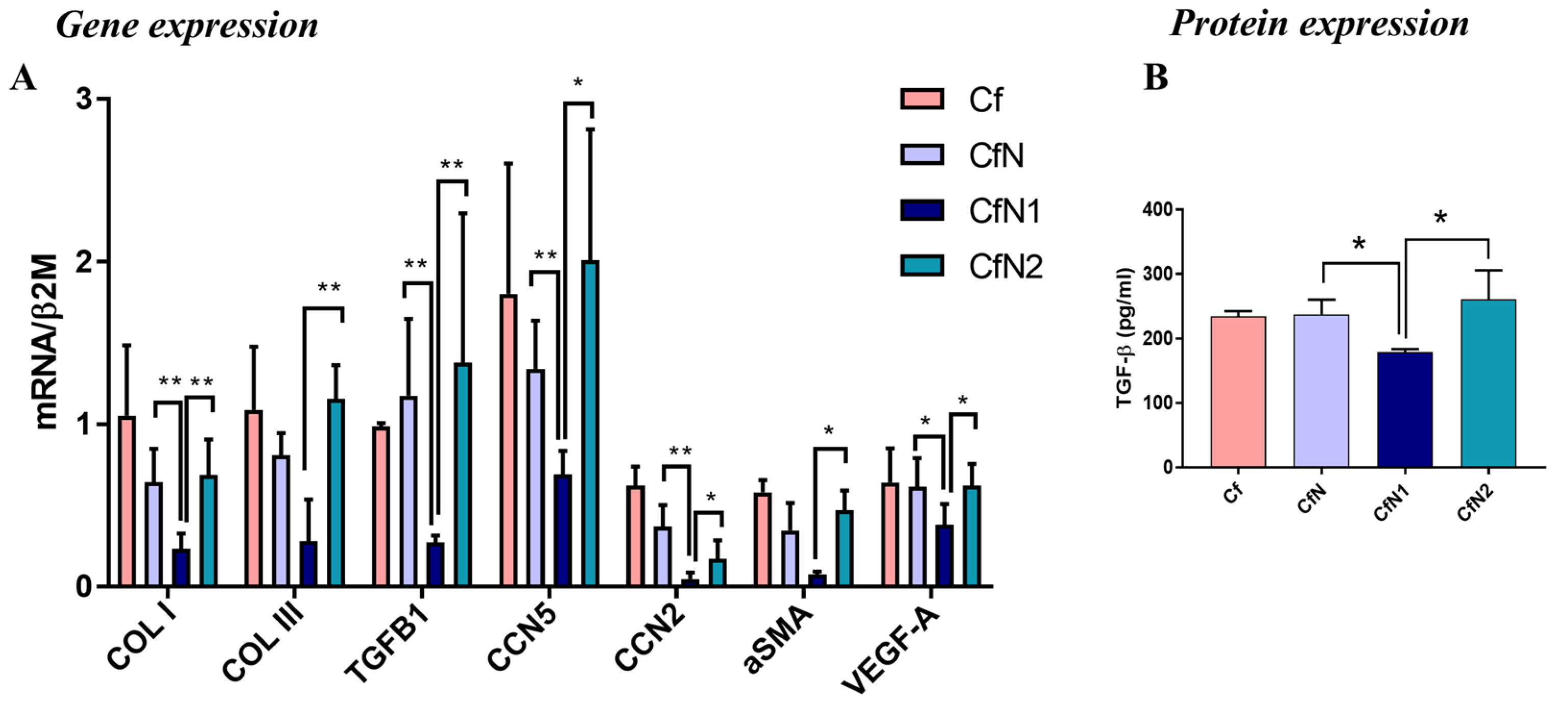 Biomedicines 13 02829 g003