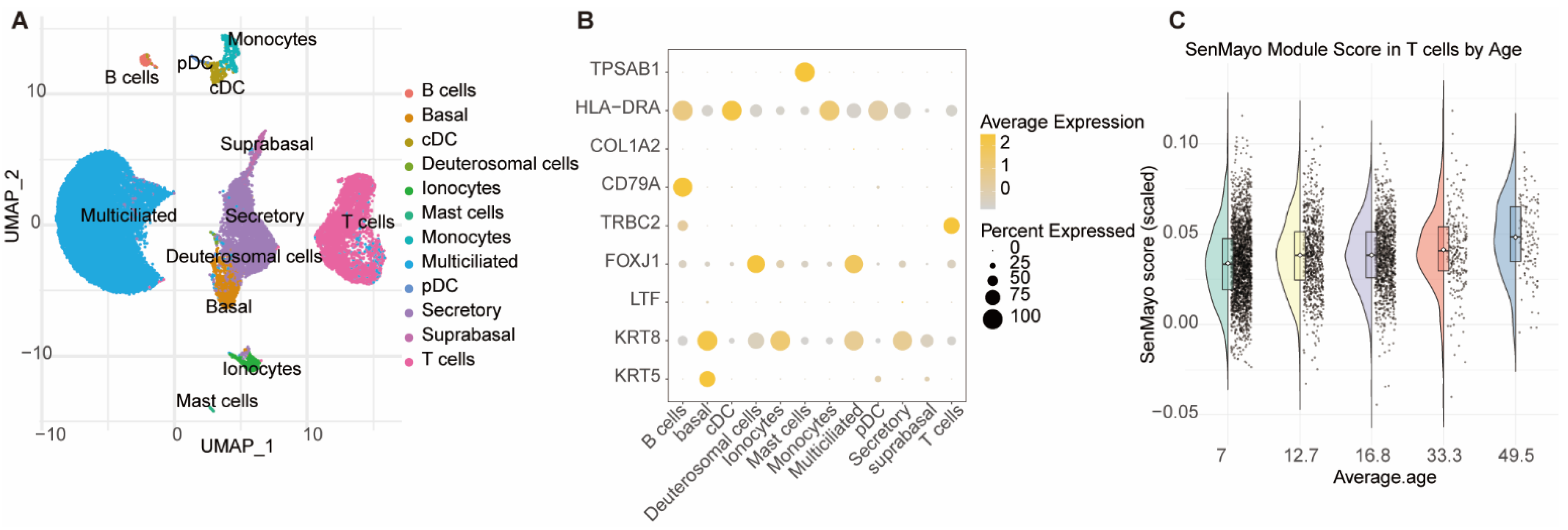 Biomedicines 13 02831 g008