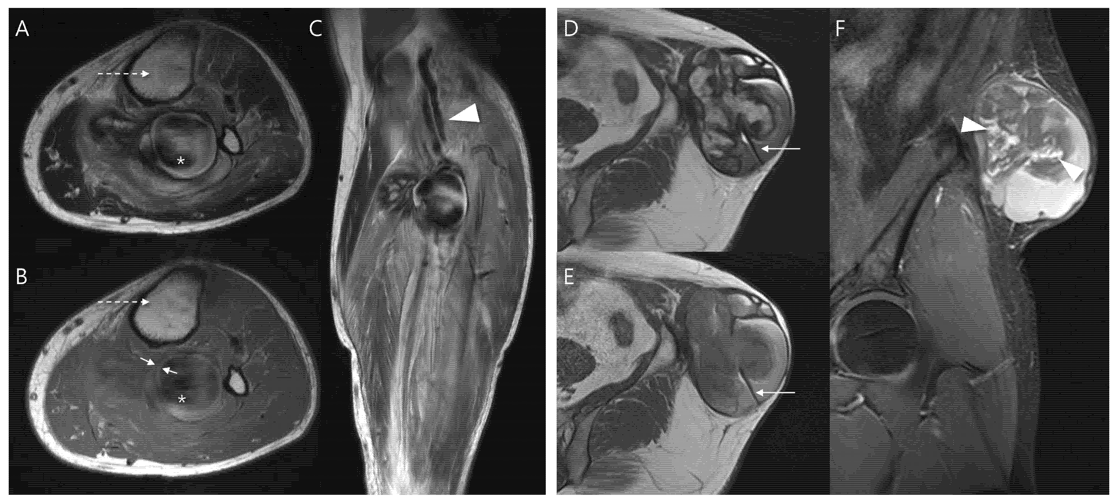 Biomedicines 13 02834 g001