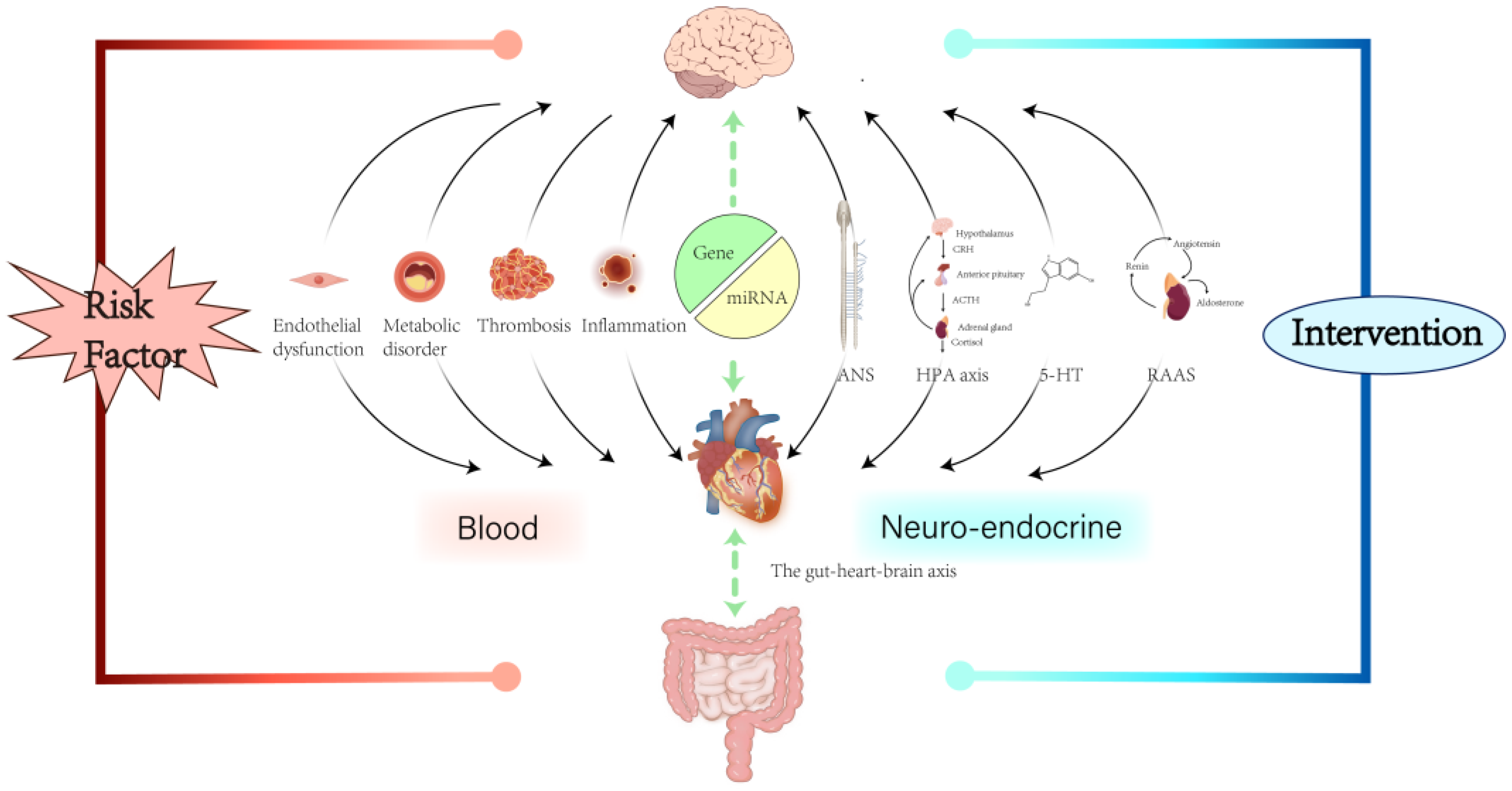 Biomedicines 13 02838 g001 Biomedicines 13 02838 g001