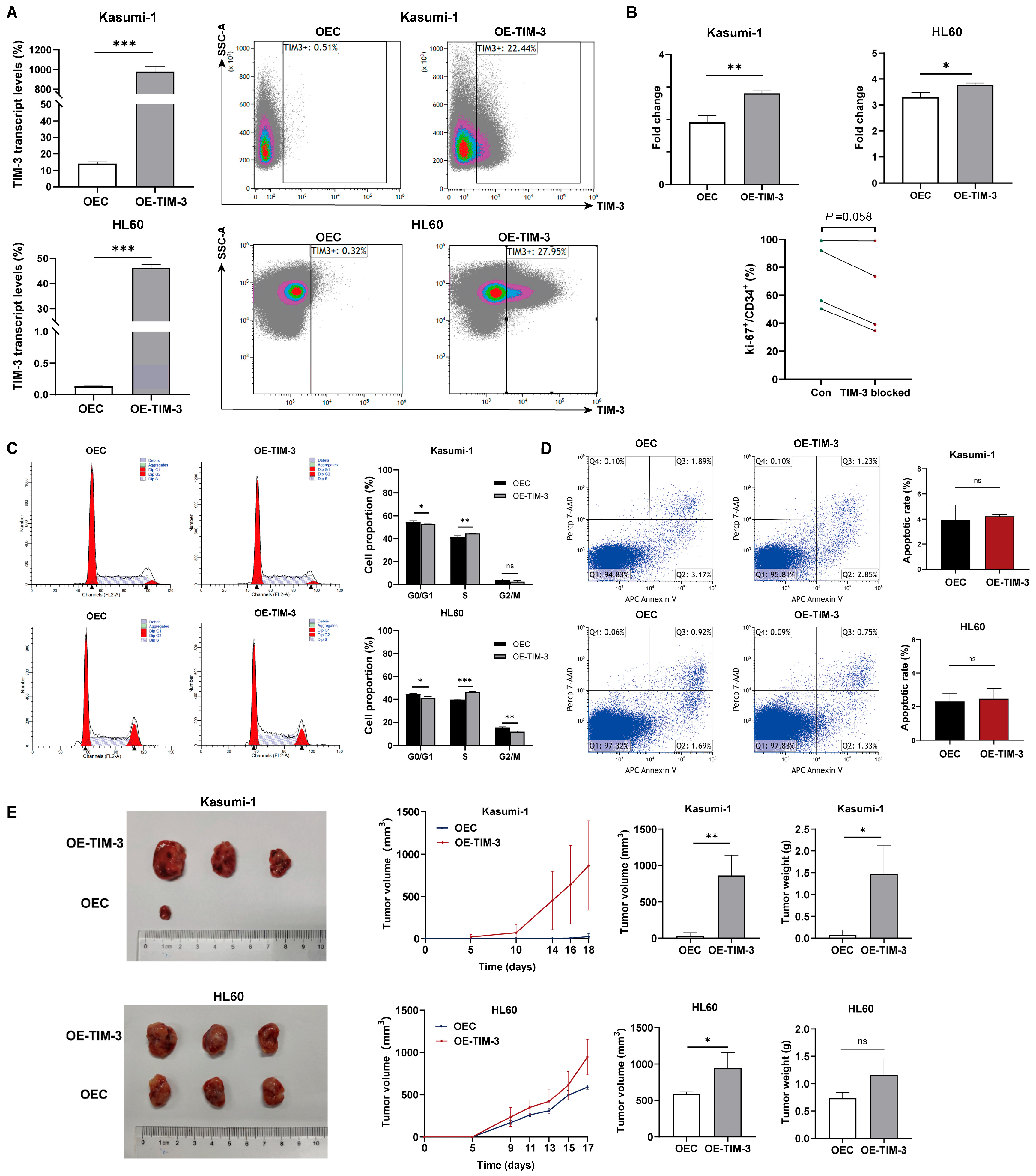 Biomedicines 13 02841 g003 Biomedicines 13 02841 g003