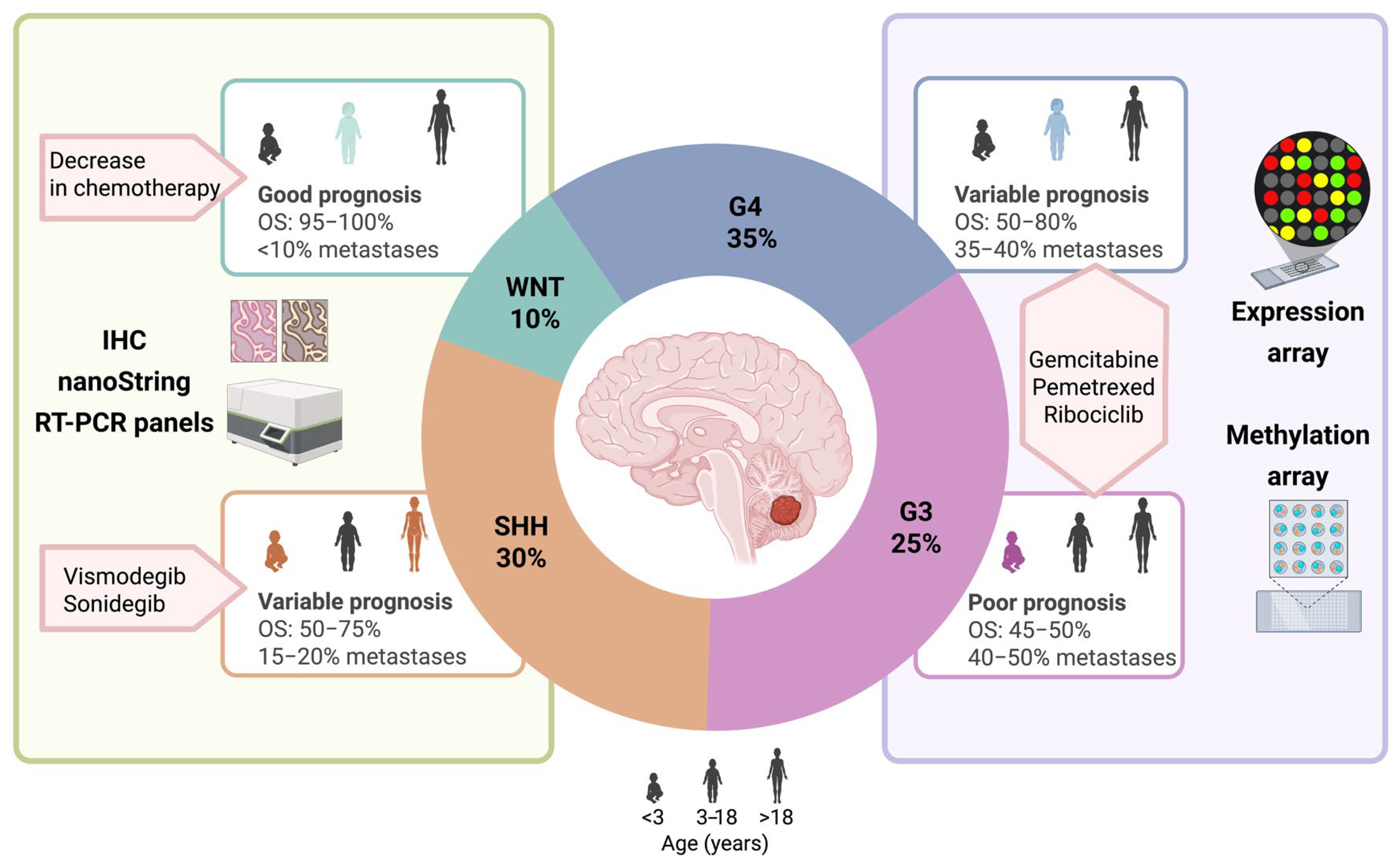 Biomedicines 13 02845 g001 Biomedicines 13 02845 g001